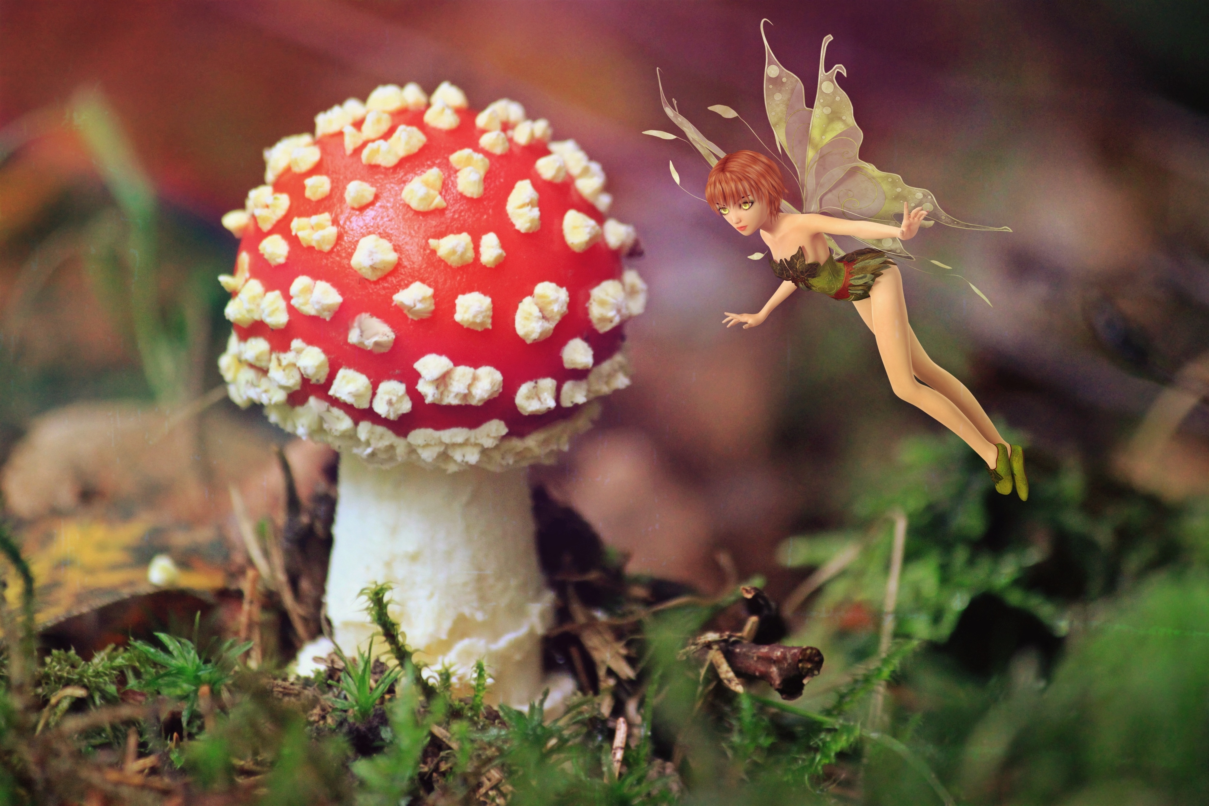 4000x2670 Free photo: Fairy and the Mushroom, Mushroom, Nature, Desktop