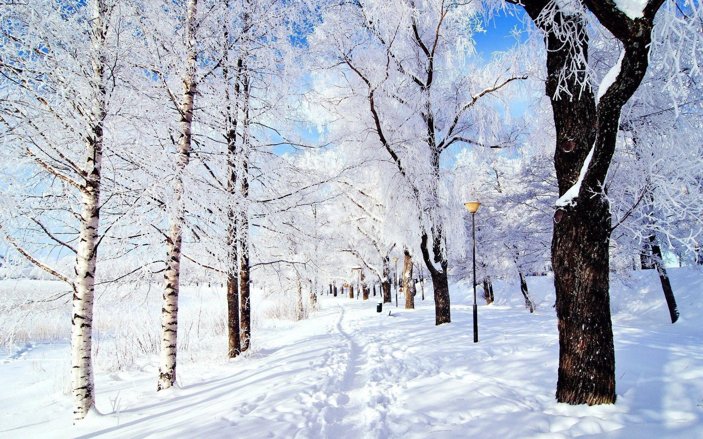 2310x1440 Widescreen Snow Wallpaper, Desktop