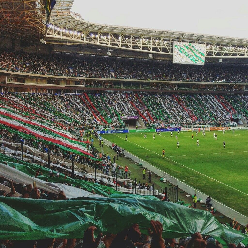 1030x1030 melhor ideia de Allianz Parque. wallpaper palmeiras, palmeiras, verdão palmeiras, Phone