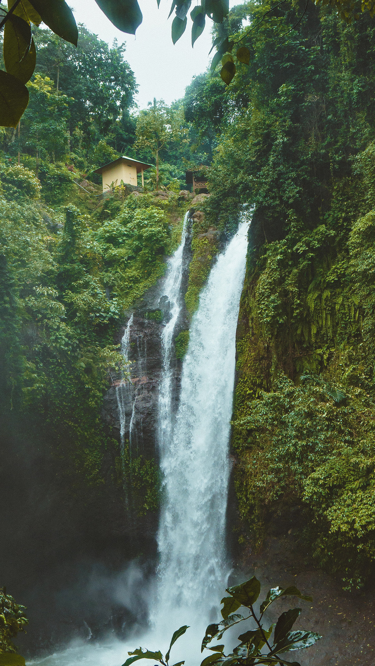 1250x2210 iPhone 6 wallpaper. waterfall summer forest river nature jungle, Phone