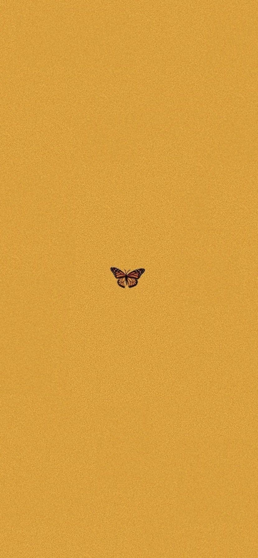 830x1800 Butterfly iPhone Wallpaper, Phone