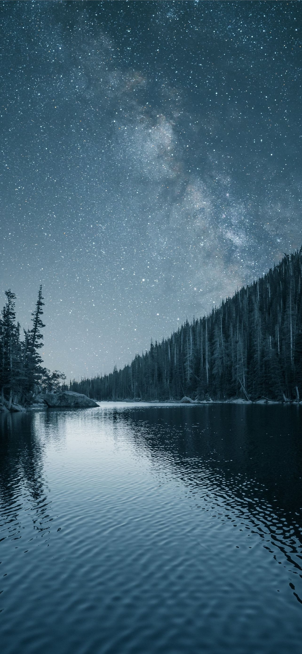 1290x2780 Night out lake forest nature iPhone Wallpaper Free Download, Phone