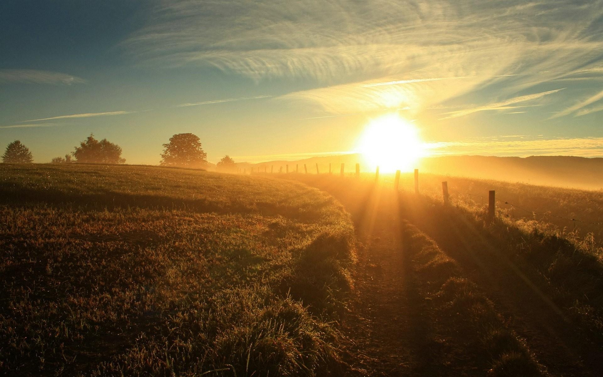 1920x1200 morning nature sun rays landscape sunlight field wallpaper, Desktop