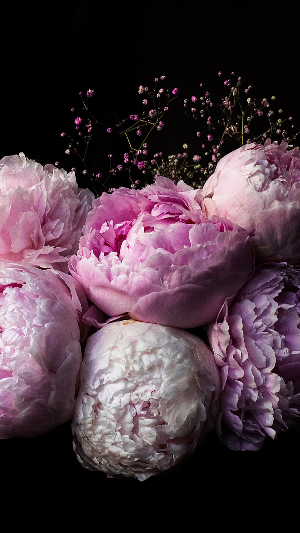 1000x1780 Peonies iPhone Wallpaper, Phone