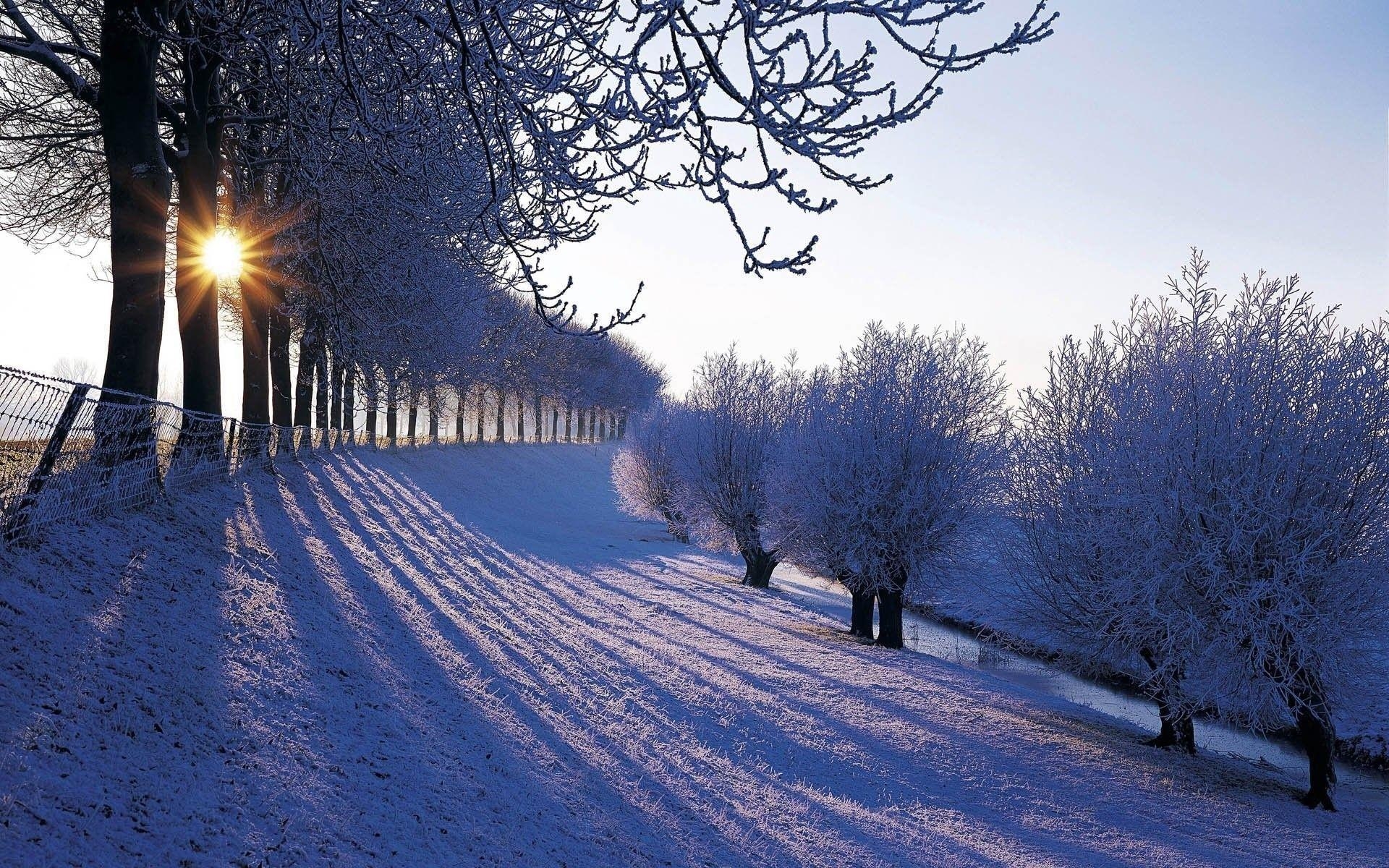 1920x1200 Beautiful Winter Wallpaper in Netherlands Country, Desktop