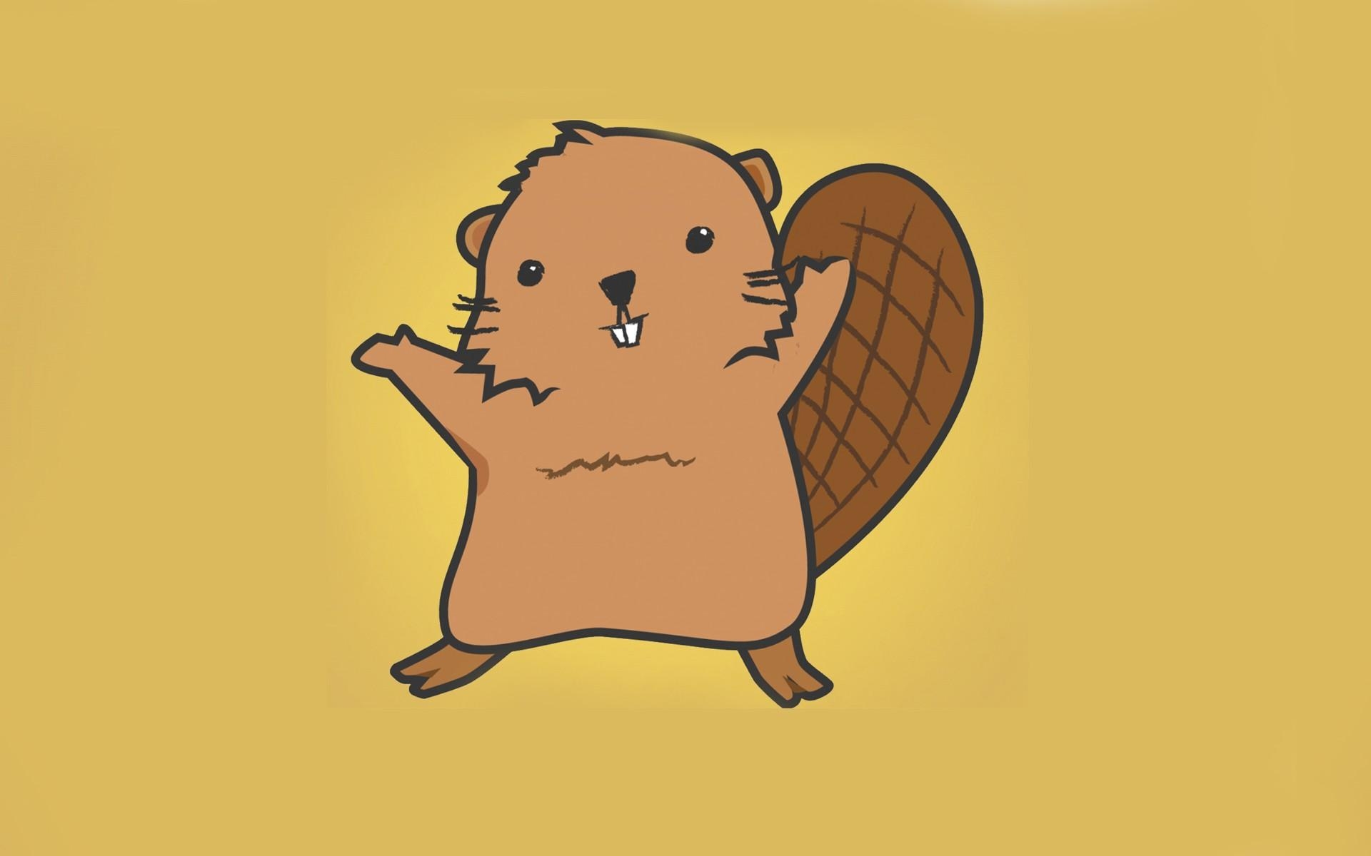 1920x1200 Beaver Wallpaper HQ 28986, Desktop