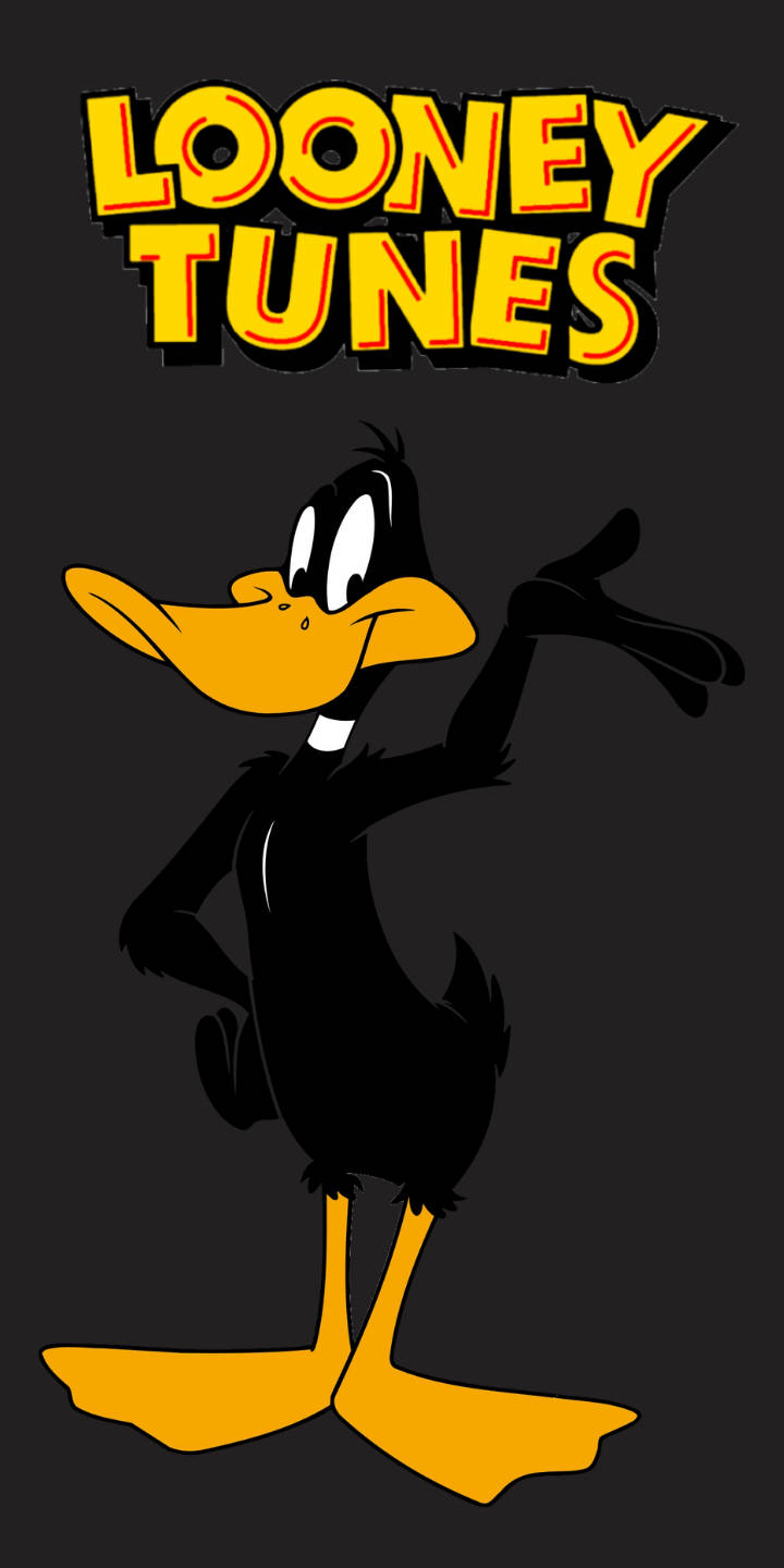 720x1440 Download Looney Tunes Daffy Duck Wallpaper, Phone