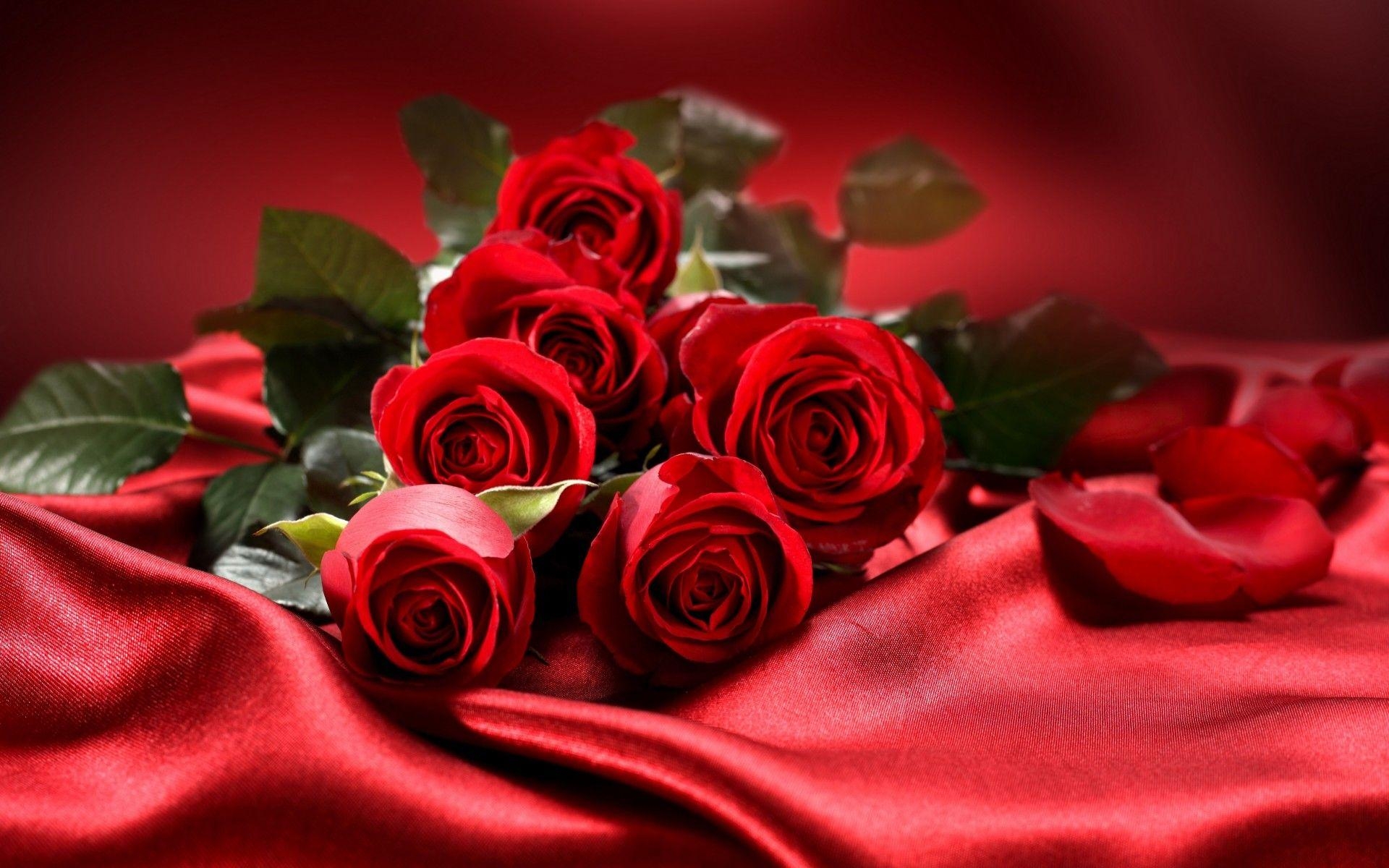 1920x1200 Lovely Roses Wallpaper wallpaper, Desktop