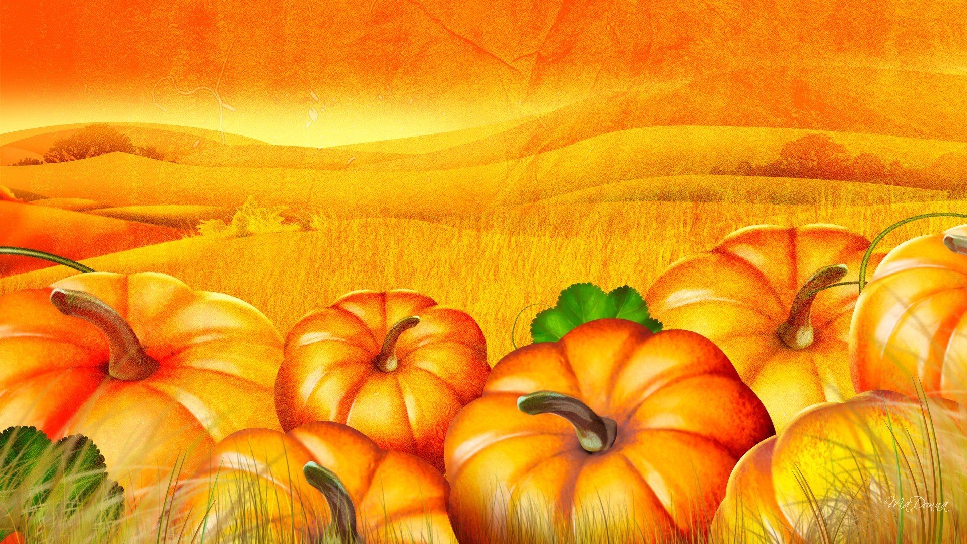 1920x1080 Pumpkin Picking Wallpaper. Pumpkin Wallpaper, Halloween Pumpkin Wallpaper and Fall Pumpkin Wallpaper, Desktop