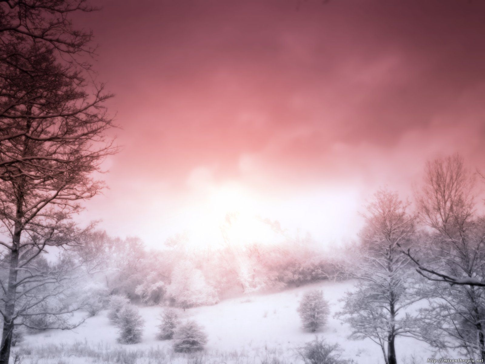 1600x1200 Pink Winter Wallpaper Free Pink Winter Background, Desktop