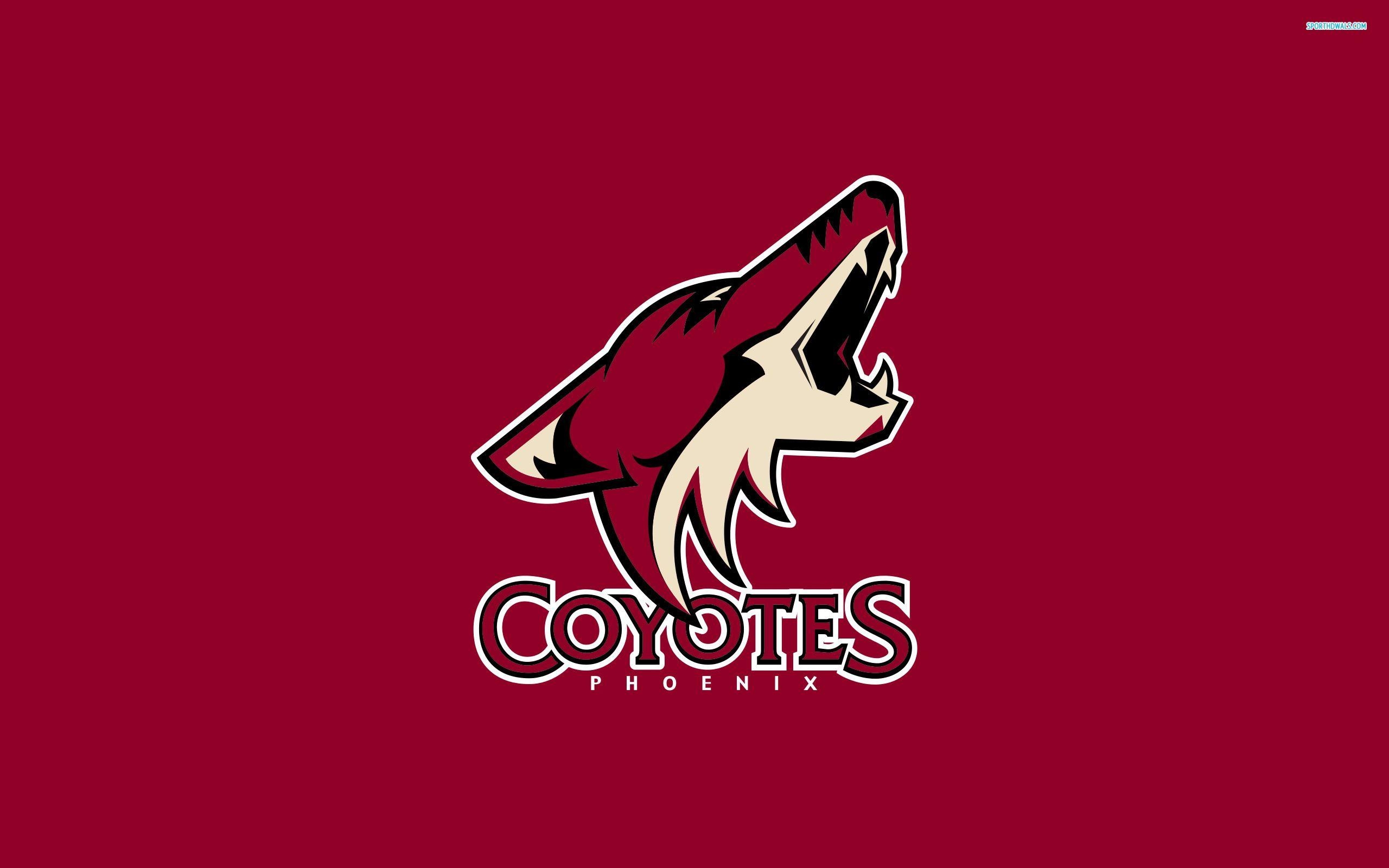 2560x1600 Phoenix Coyotes wallpaper #, Desktop