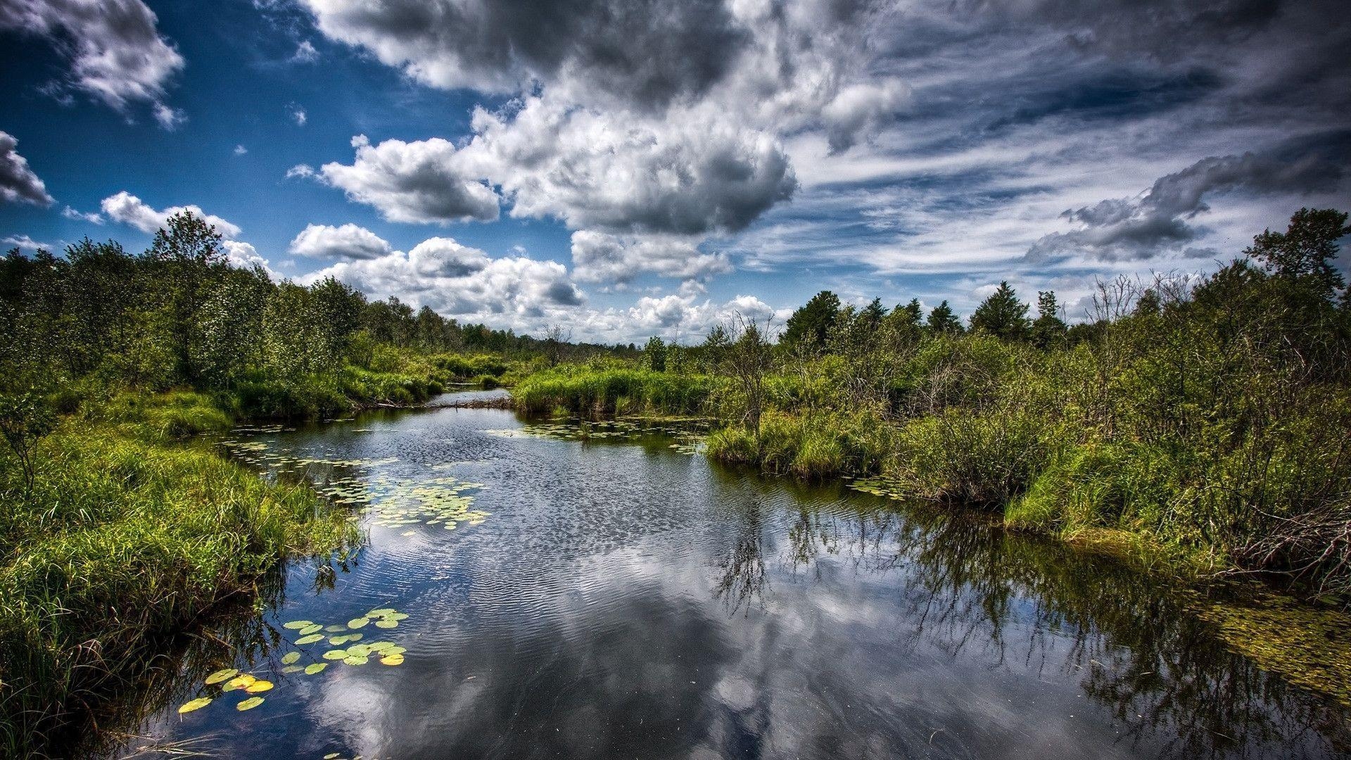 1920x1080 Pond / Nature / Desktop HD, iPhone, iPad Wallpaper, Desktop