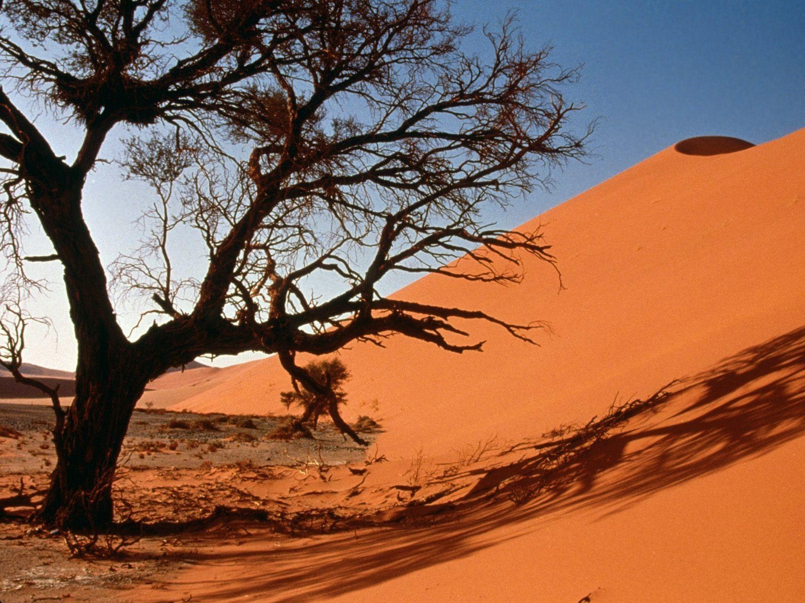 1600x1200 Sand Dunes, Central Africa, Desktop