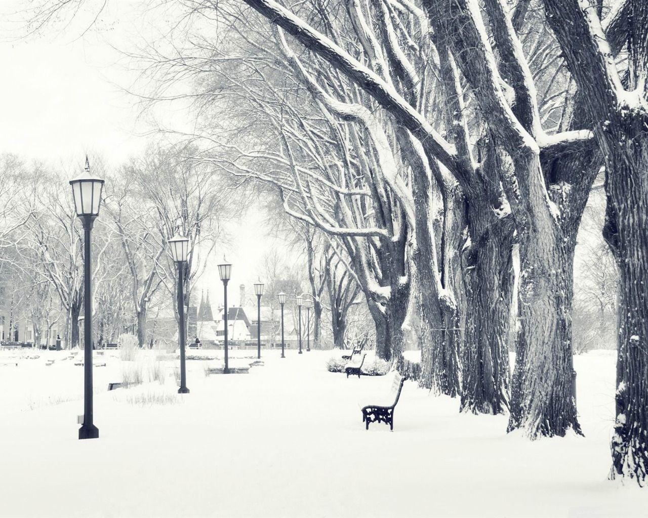 1280x1030 Snowy Park Winter Snow Scenes Wallpaper Wallpaper, Desktop