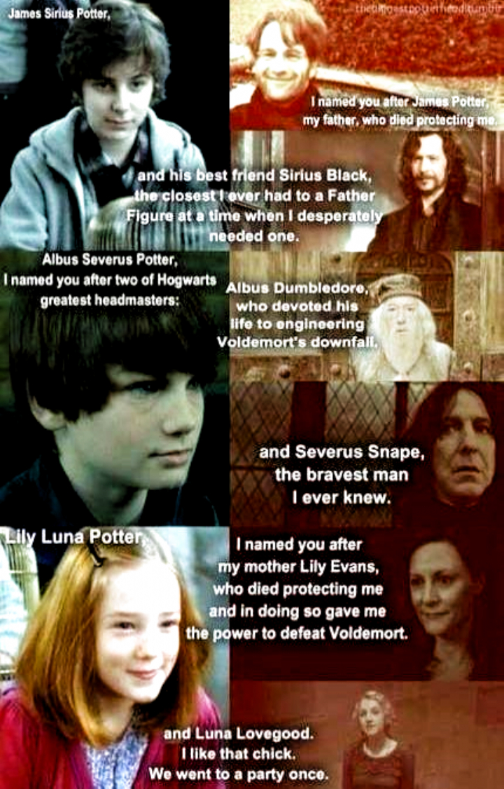 720x1130 meme wallpaper #meme wallpaper. Albus severus potter, James sirius potter, Harry potter memes hilarious, Phone