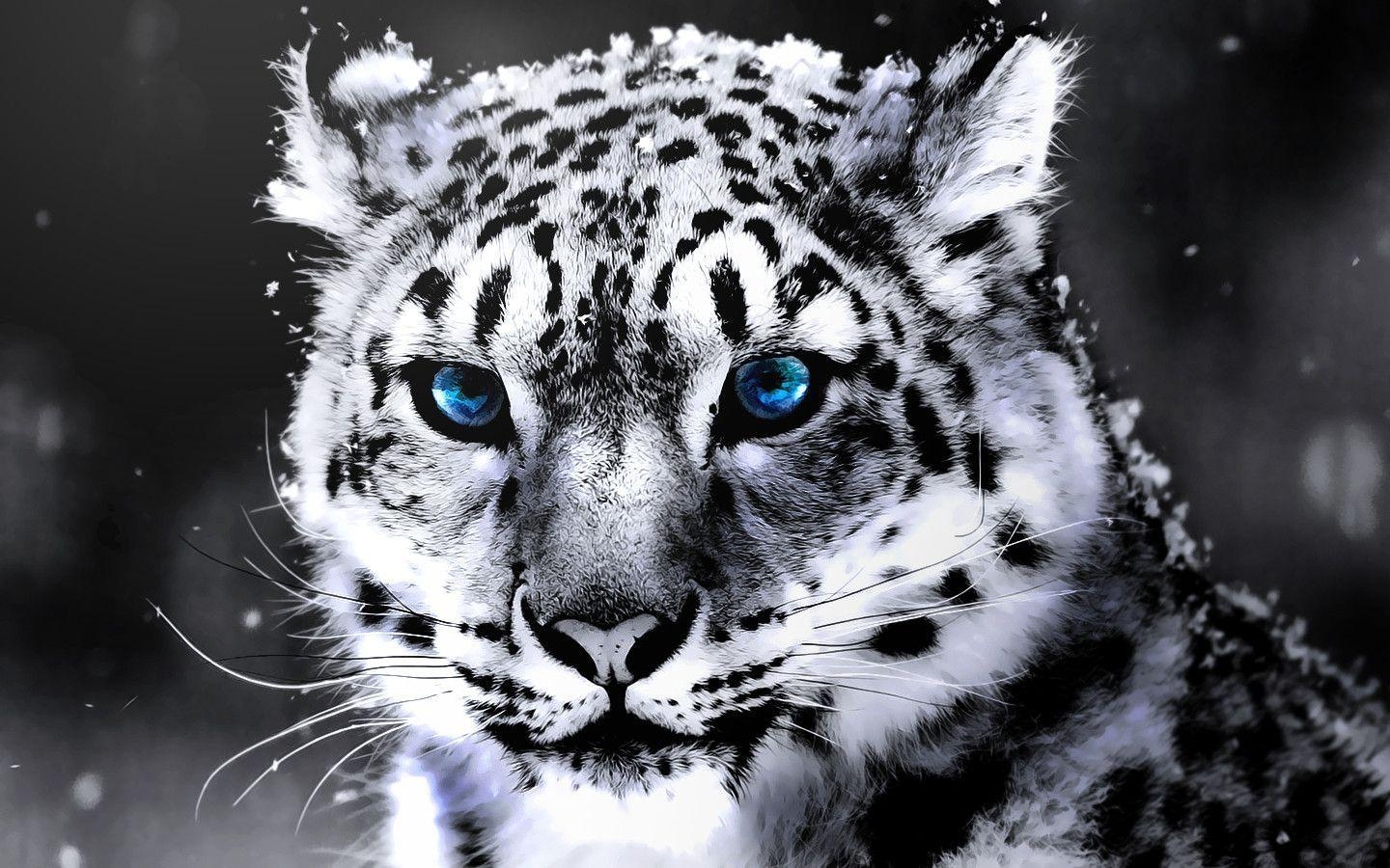 1440x900 White Tiger HD Wallpaper. HD Wallpaper Mall, Desktop