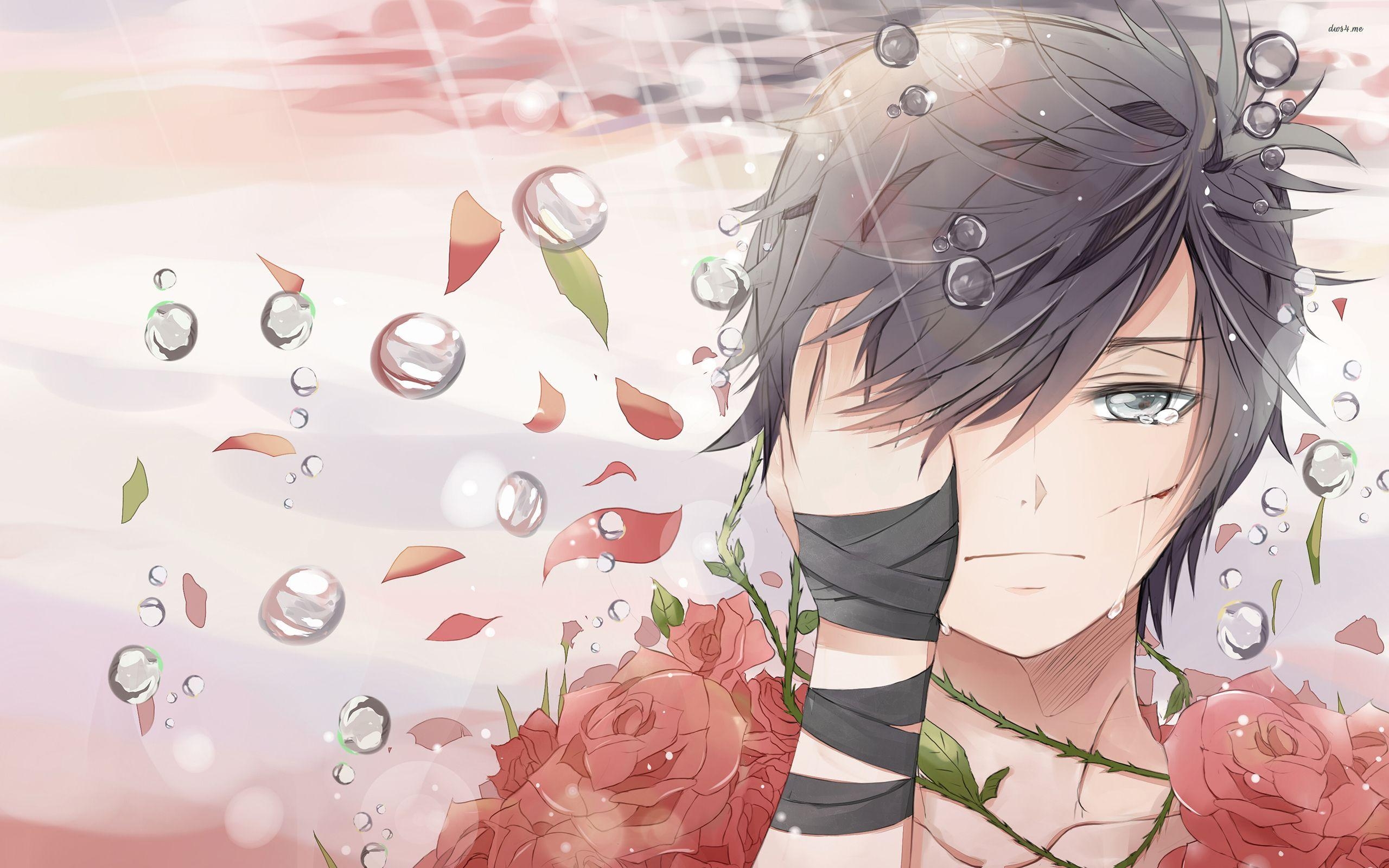 2560x1600 Sad boy covered in roses wallpaper wallpaper, Desktop