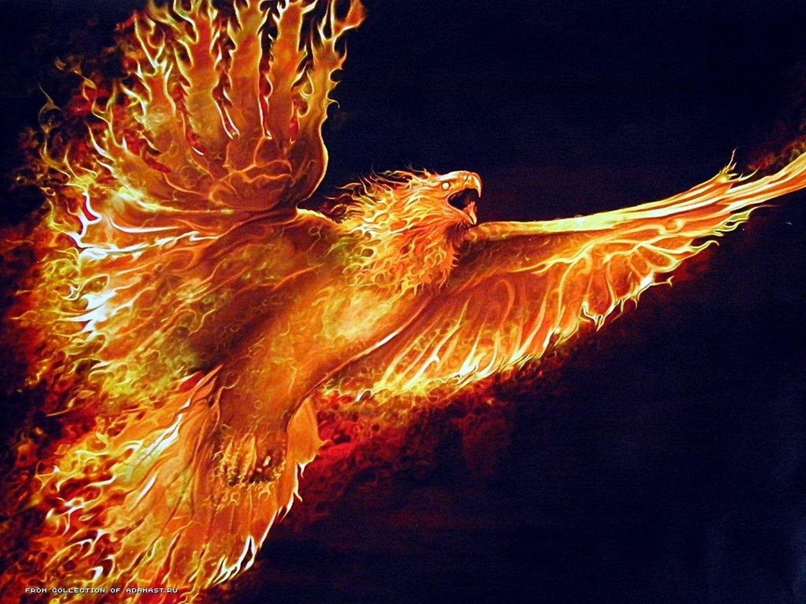 1600x1200 phoenix #wallpaper #fantasy. Phoenix wallpaper, Desktop