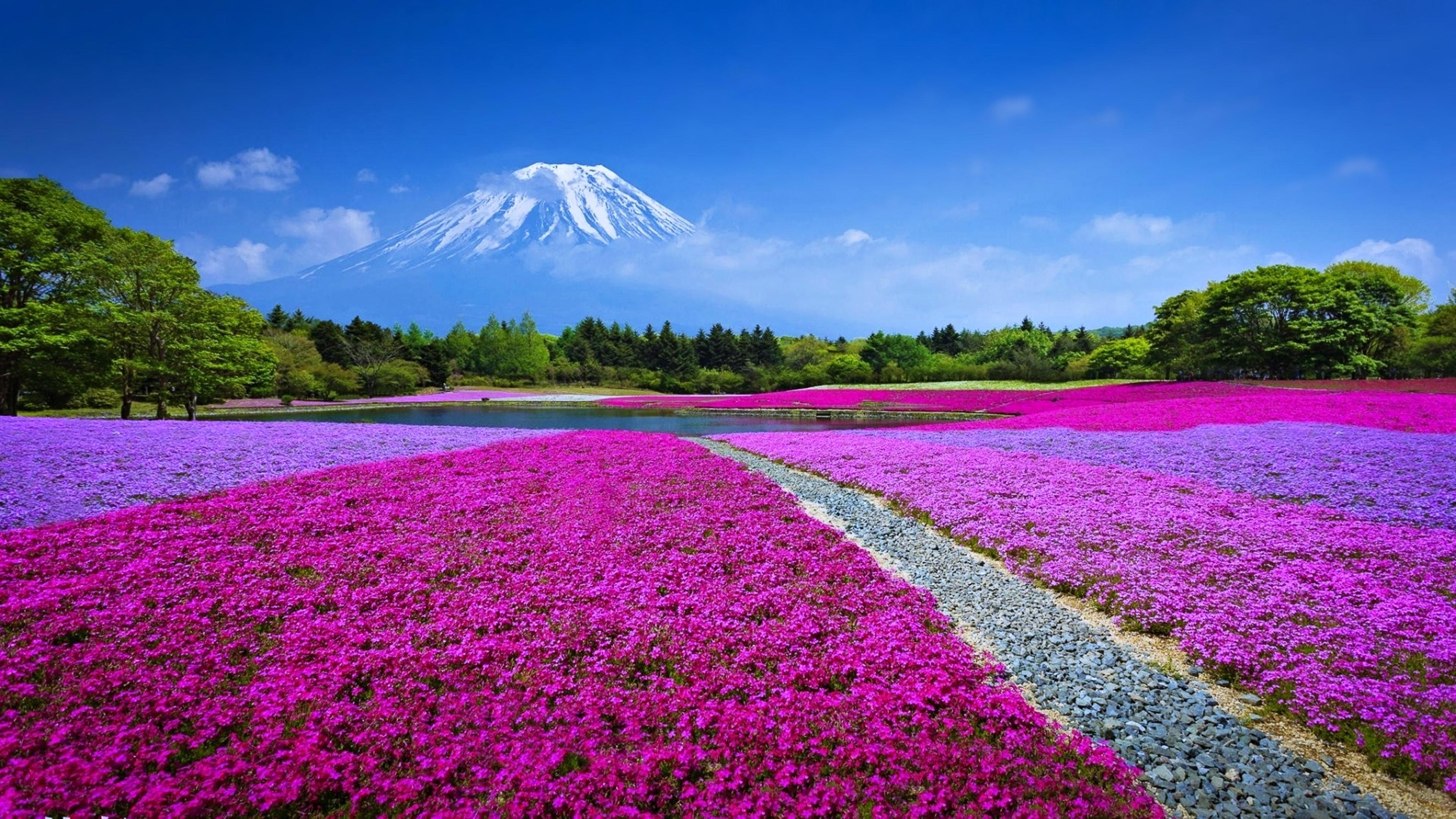 3840x2160 Mount Fuji Landscape, Japan 4K UltraHD Wallpaper. Wallpaper Studio, Desktop