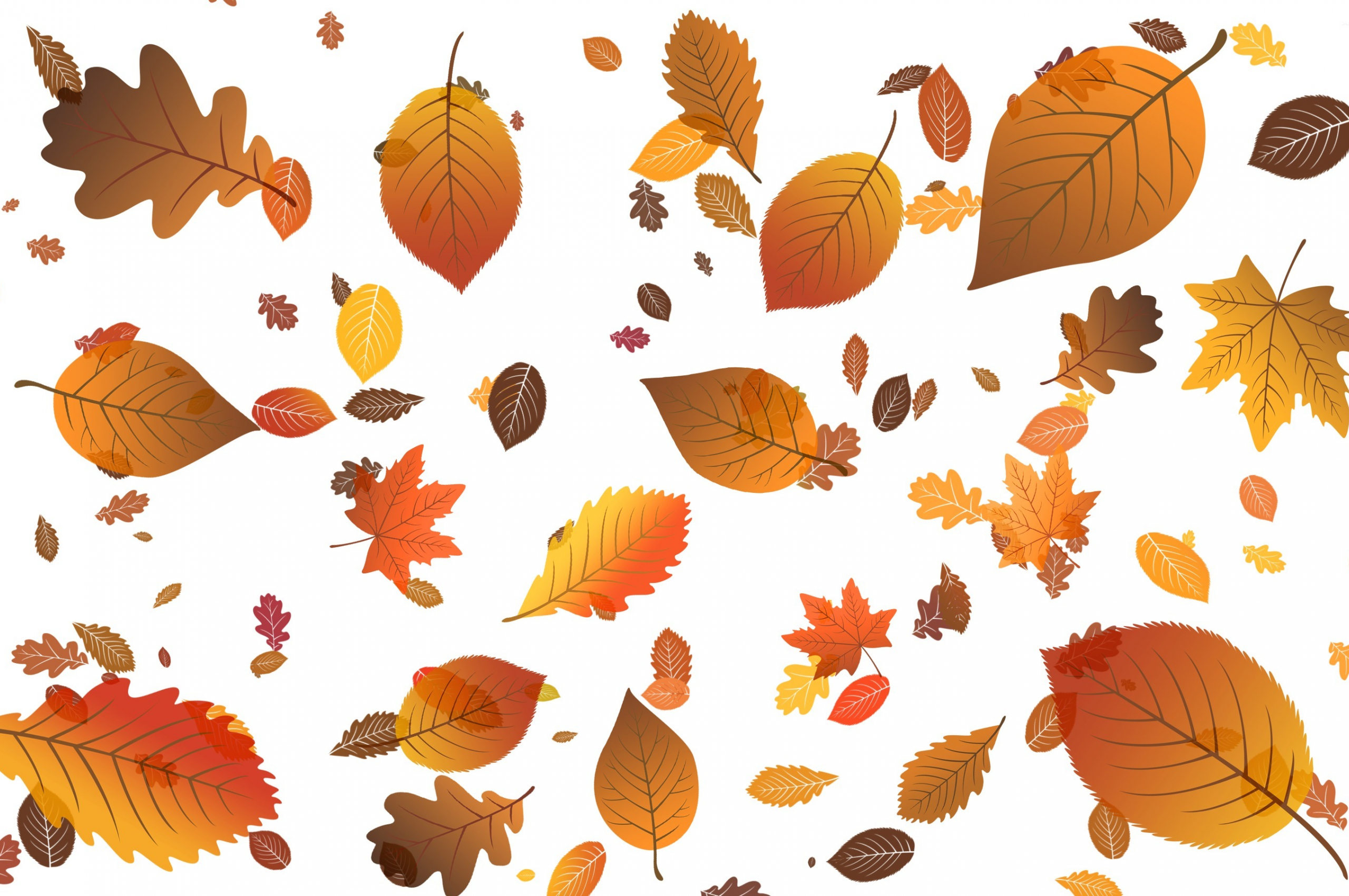 2560x1700 Free download Falling leaves wallpaper Vector wallpaper 23367 [2880x1800] for your Desktop, Mobile & Tablet. Explore Wallpaper Fall Leaves. Fall Leaves Wallpaper for Desktop, Fall Leaves Wallpaper Border, Free Autumn Leaves Wallpaper, Desktop