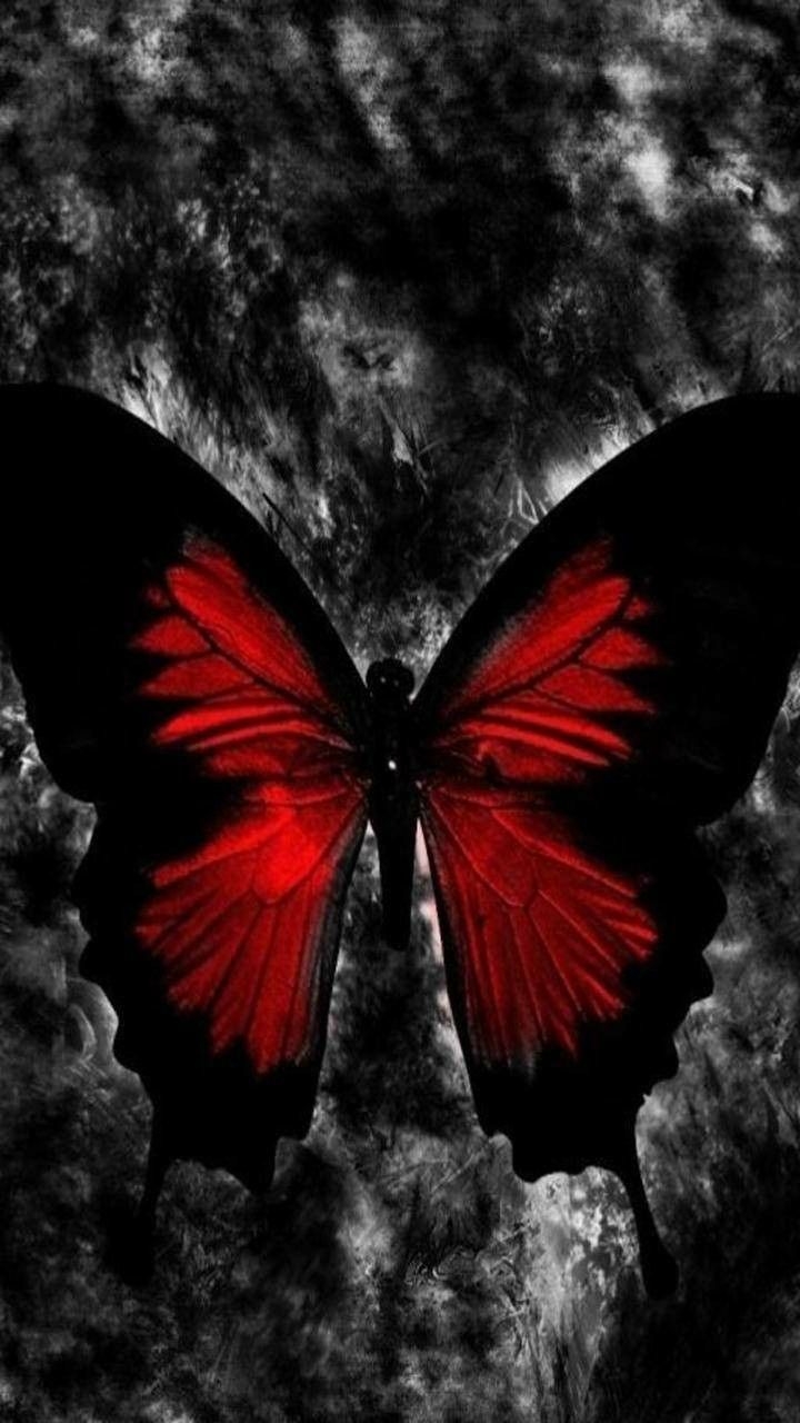 720x1280 Gothic Butterfly Wallpaper, Phone