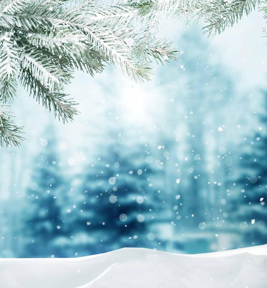 930x1000 Cute Winter Wallpaper for Android, Phone