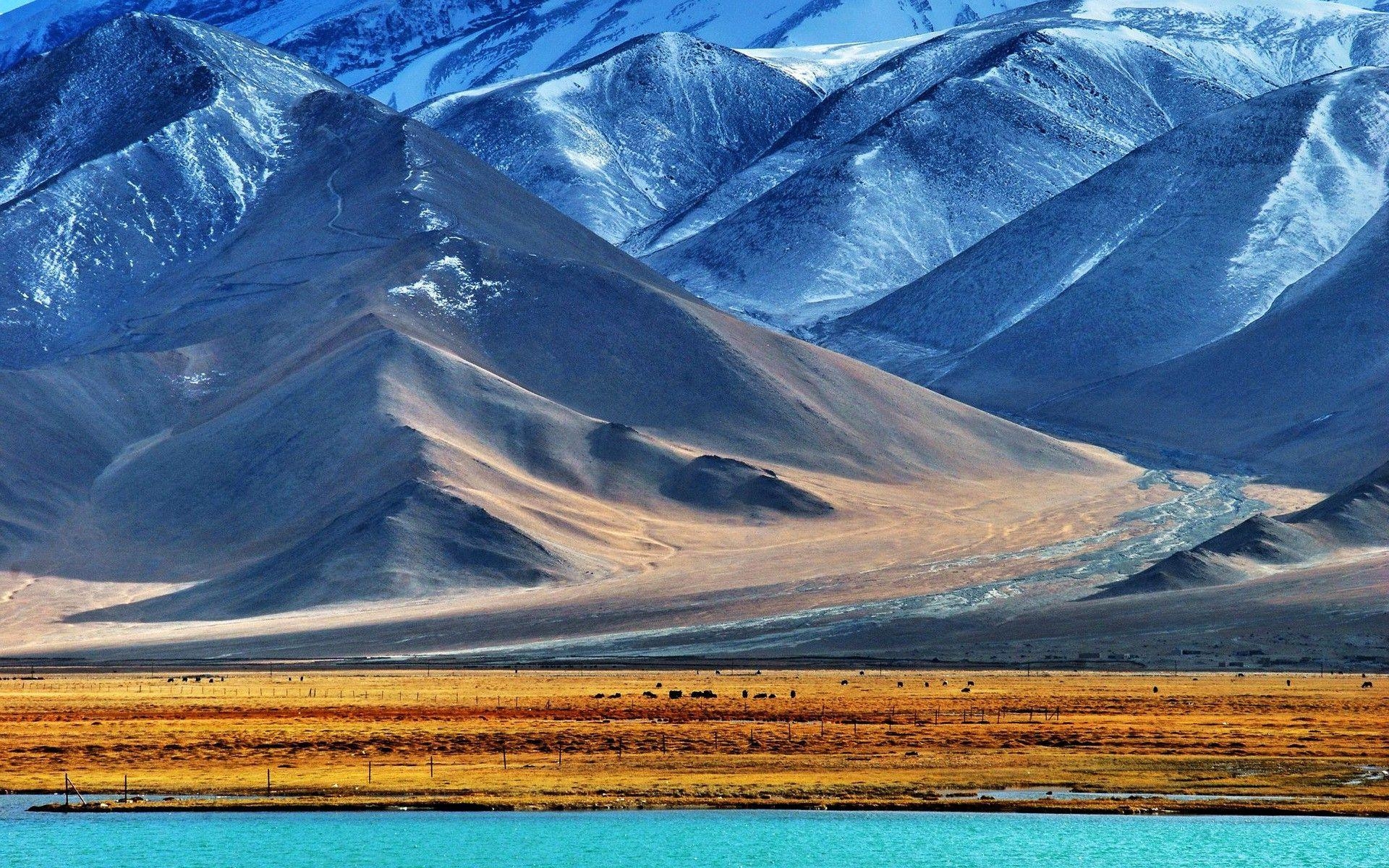 1920x1200 nature, Landscape, Mountain, Snow, Water, Lake, Snowy Peak, Field, Desktop