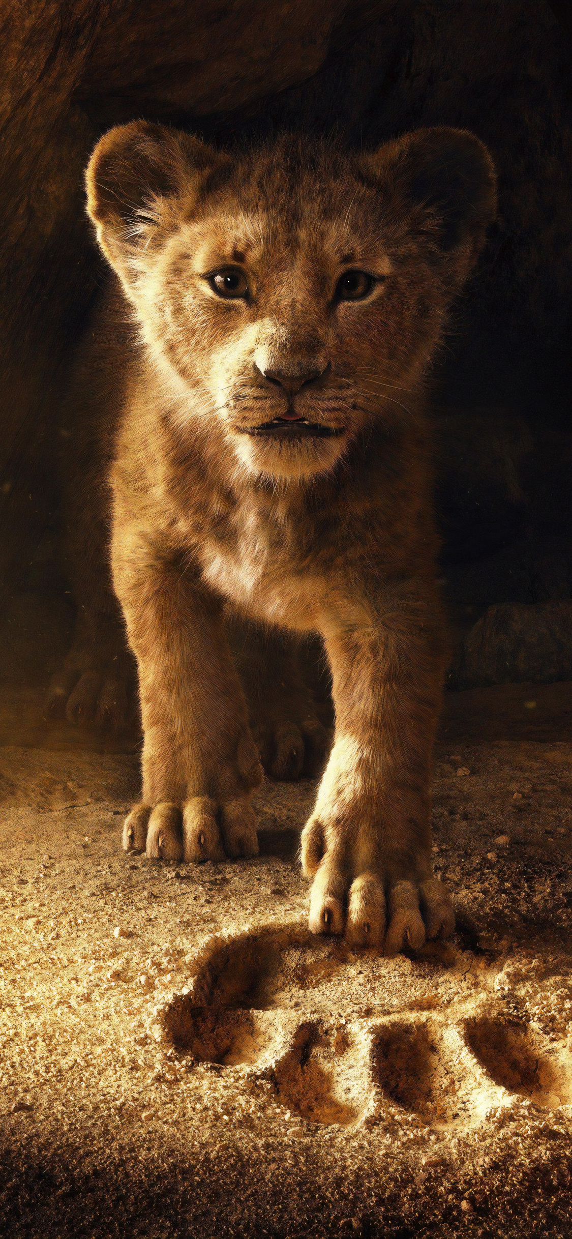 1130x2440 The Lion King 2019 iPhone XS, iPhone iPhone X HD, Phone