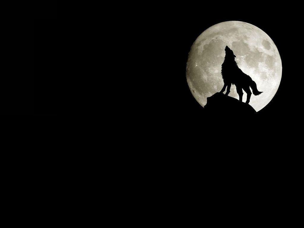 1030x770 Howling At The Moon Car Picture, Desktop