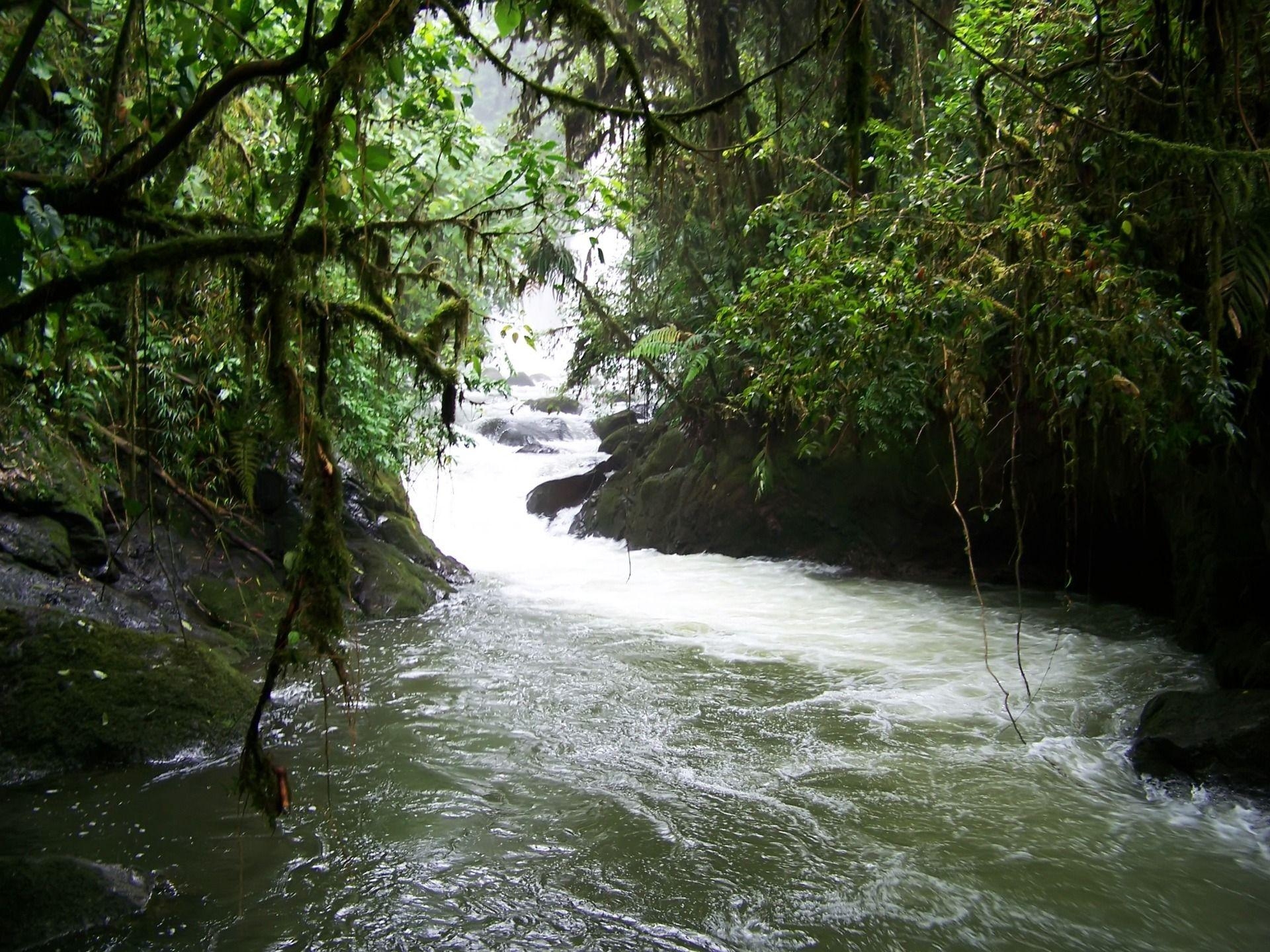 1920x1440 Waterfall in Costa Rica Rainforest Wallpaper Rivers Nature, Desktop