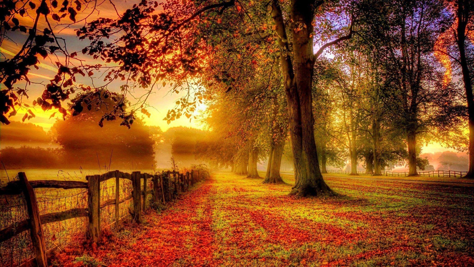 1920x1080 Autumn Wallpaper Free Autumn Background, Desktop