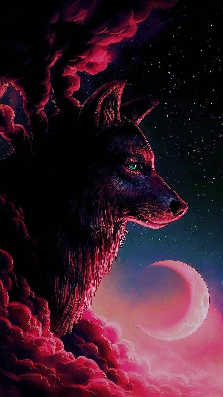 720x1280 Wolf Wallpaper Wolf, Phone