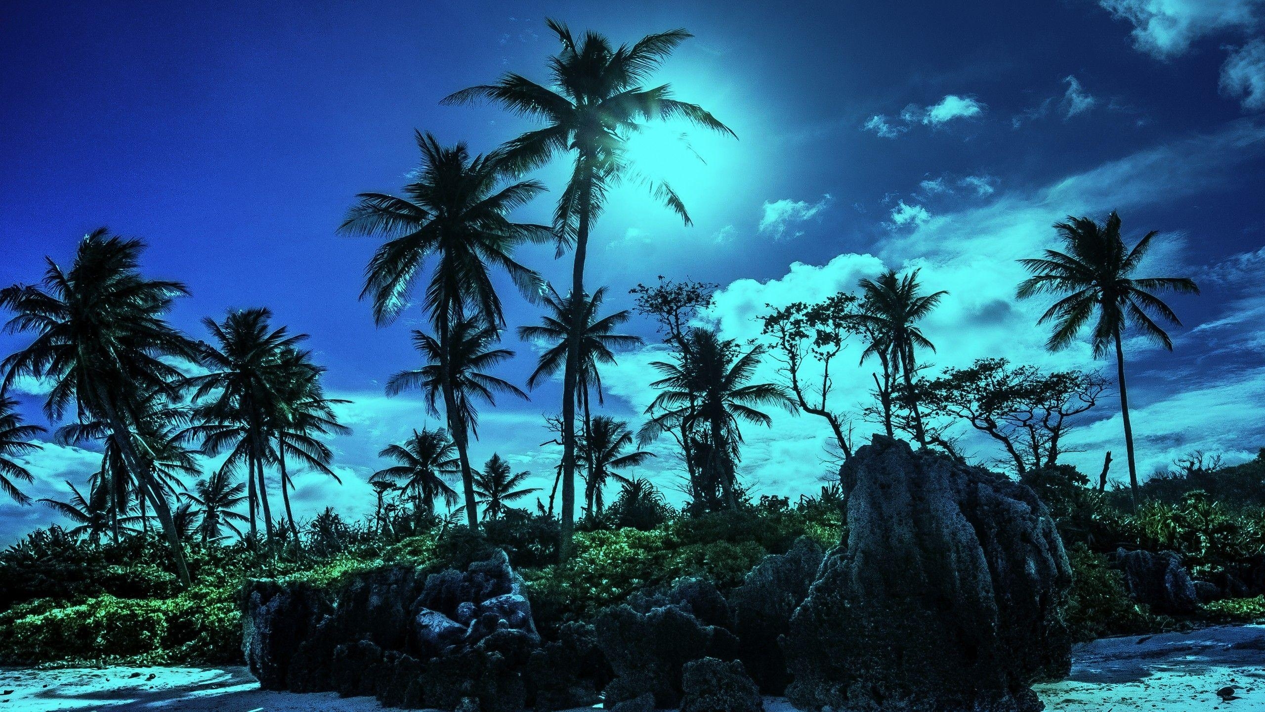 2560x1440 Sky Paradisiac Palms Shadows Tropical Beach Nauru Moonlights Night, Desktop