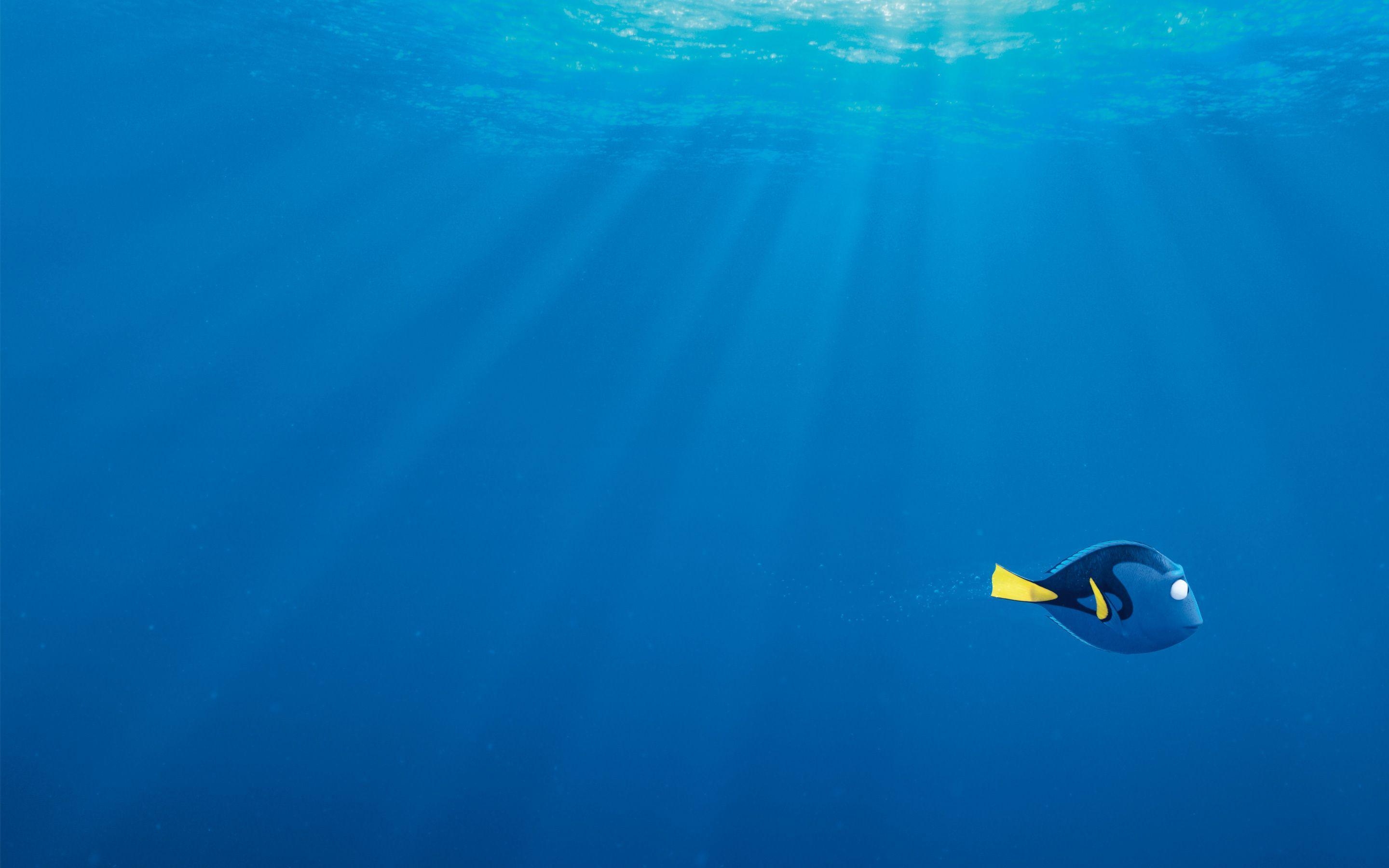 2880x1800 Finding Dory HD Wallpaper, Desktop