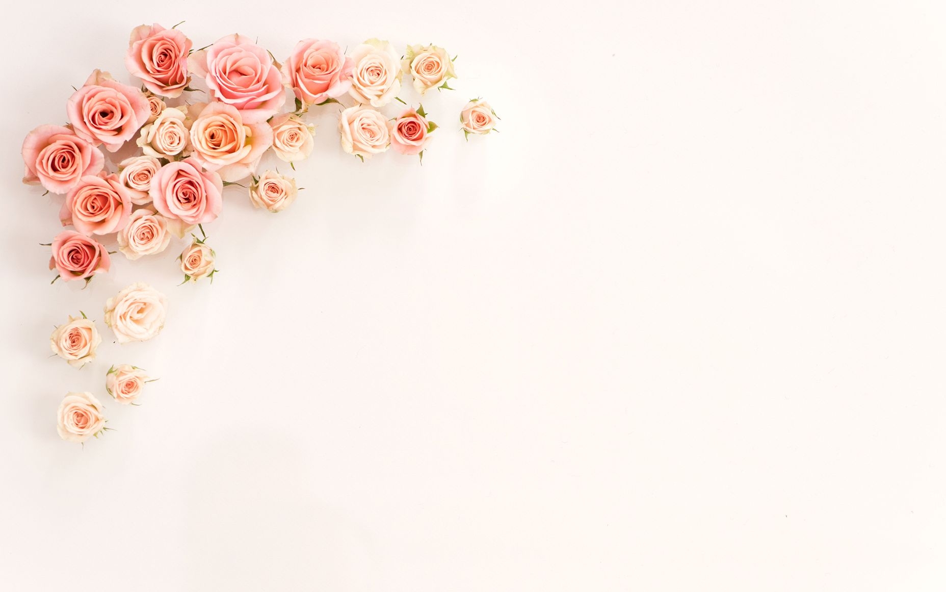 1860x1170 Rose gold wallpaper, Flower desktop wallpaper, Macbook wallpaper, Desktop