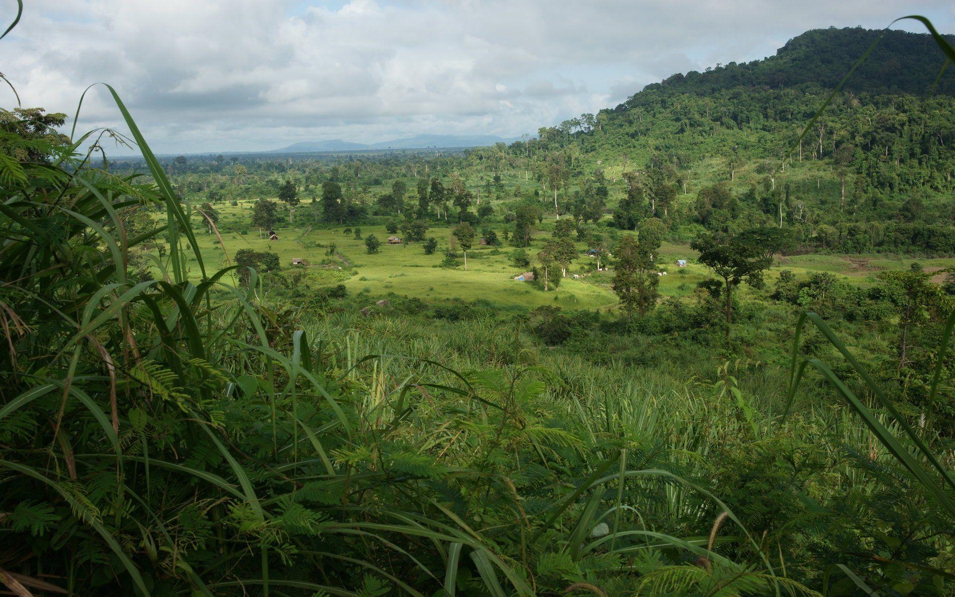 1920x1200 Jungle Landscape, Desktop