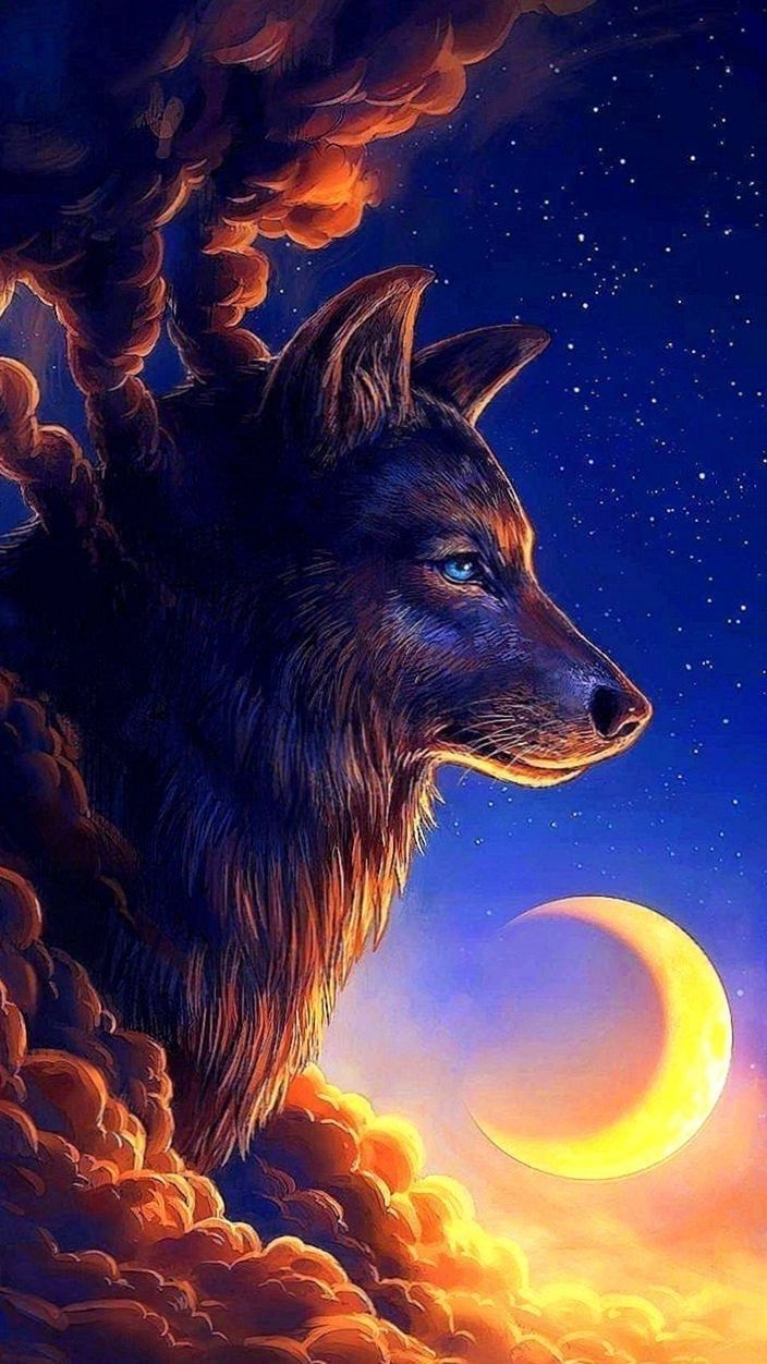 710x1260 Wolf Wallpaper, Phone