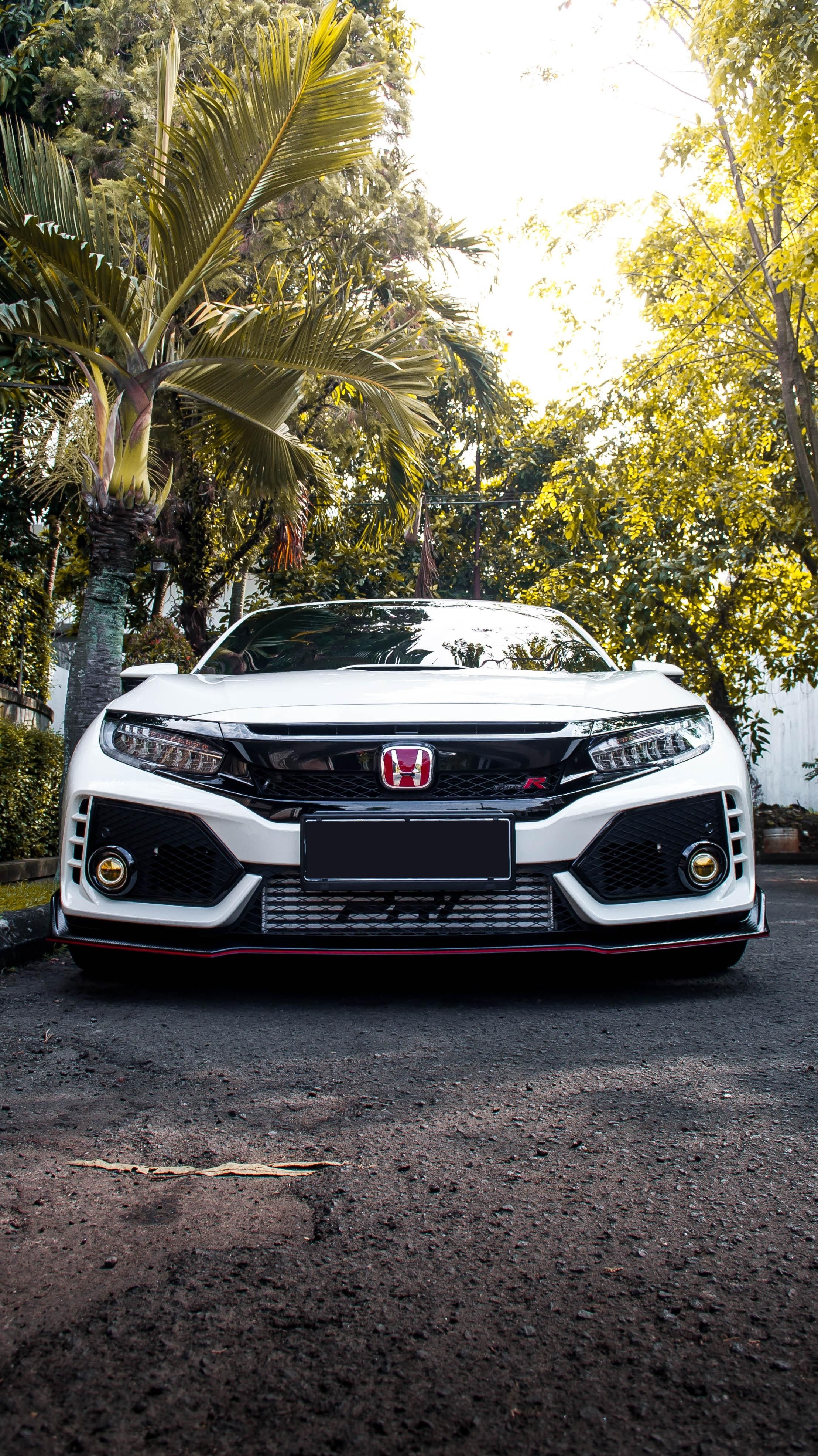 2220x3940 The All New Civic Type R Casually Parked infront of my House, Phone