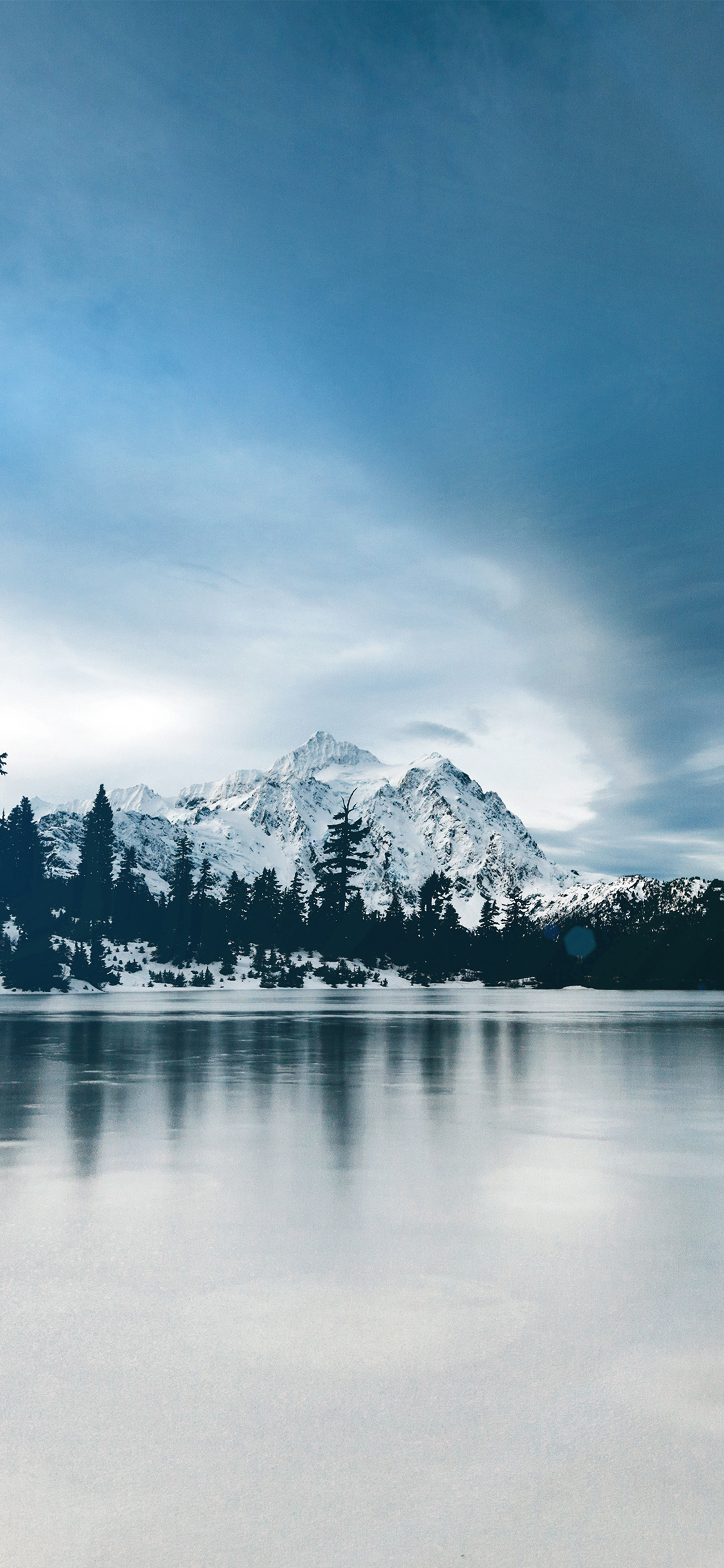 1130x2440 frozen lake winter snow wood forest cold, Phone