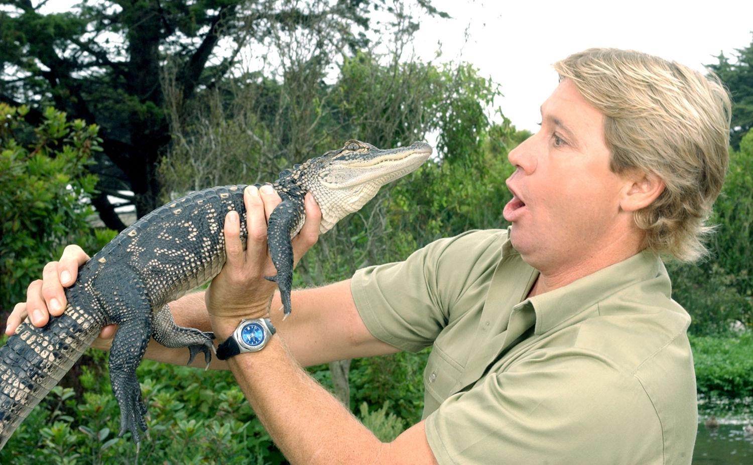 1500x930 Wall Hit: Steve Irwin, Desktop