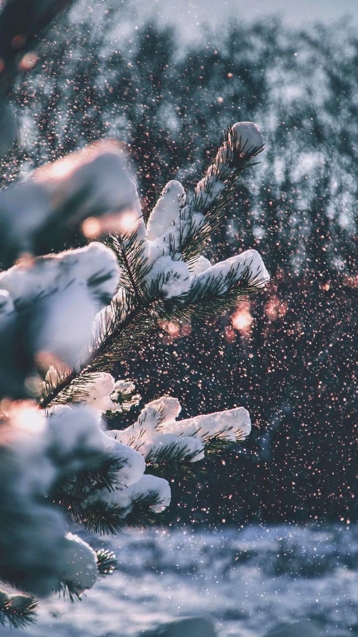 720x1280 Aesthetic Cozy Winter iPhone Wallpaper, Phone