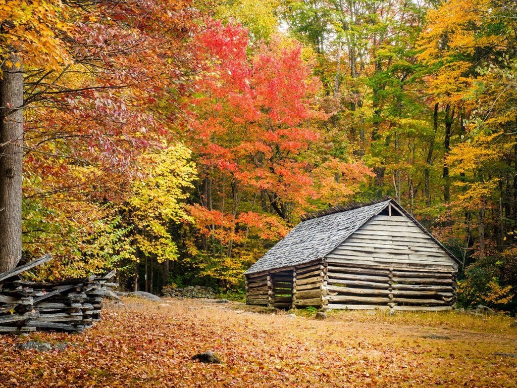 1030x770 Fall Foliage, Great Smoky Mountain National Park, Tennessee, Desktop