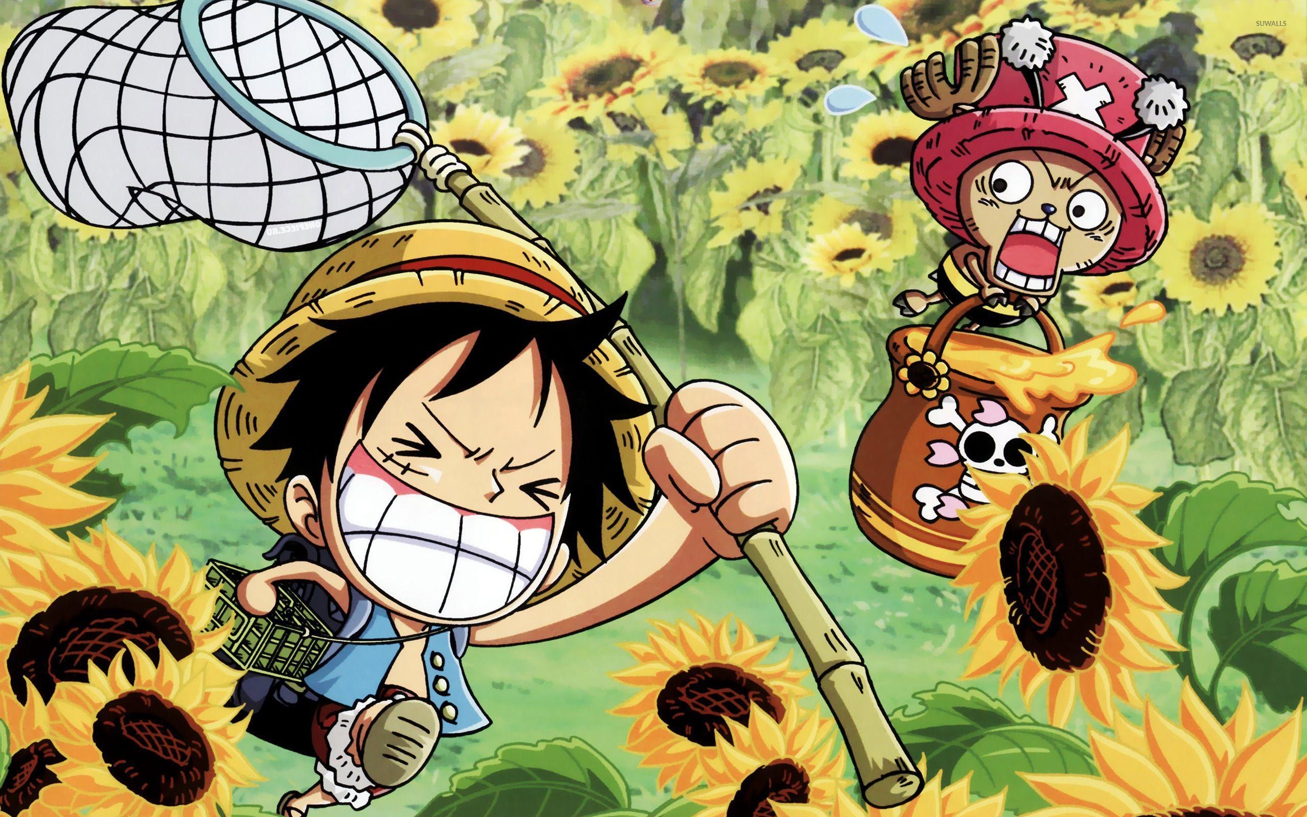 2560x1600 One Piece [7] wallpaper wallpaper, Desktop