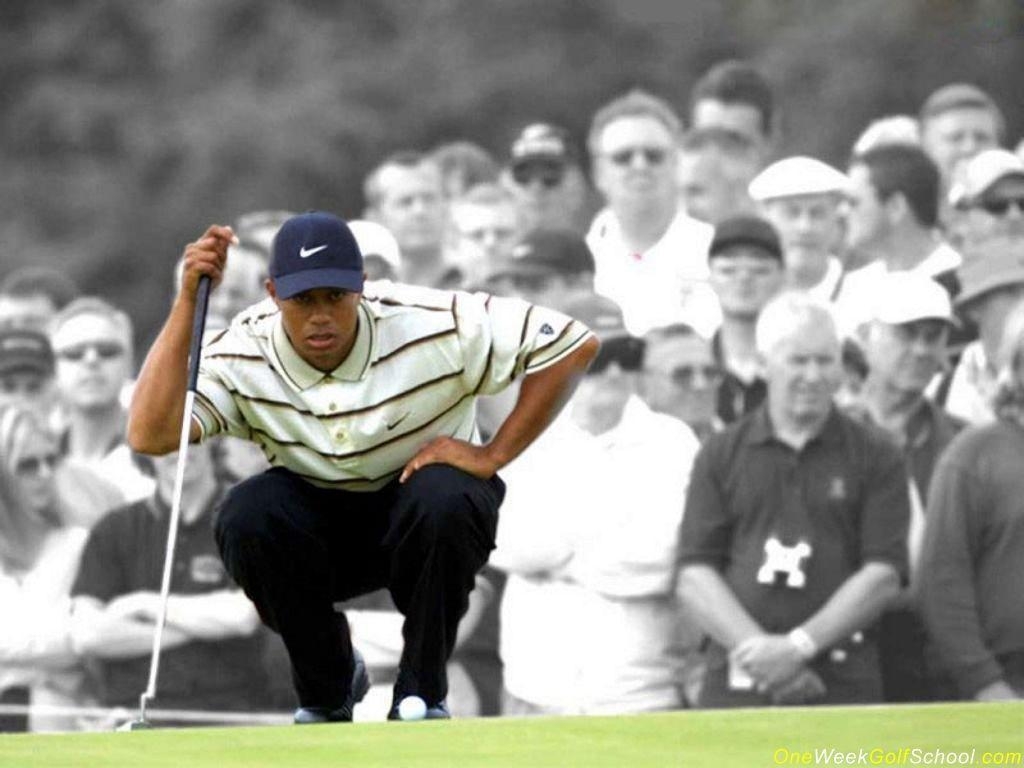 1030x770 Tiger Woods Wallpaper, 49 Tiger Woods 2016 Wallpaper's Archive, Desktop