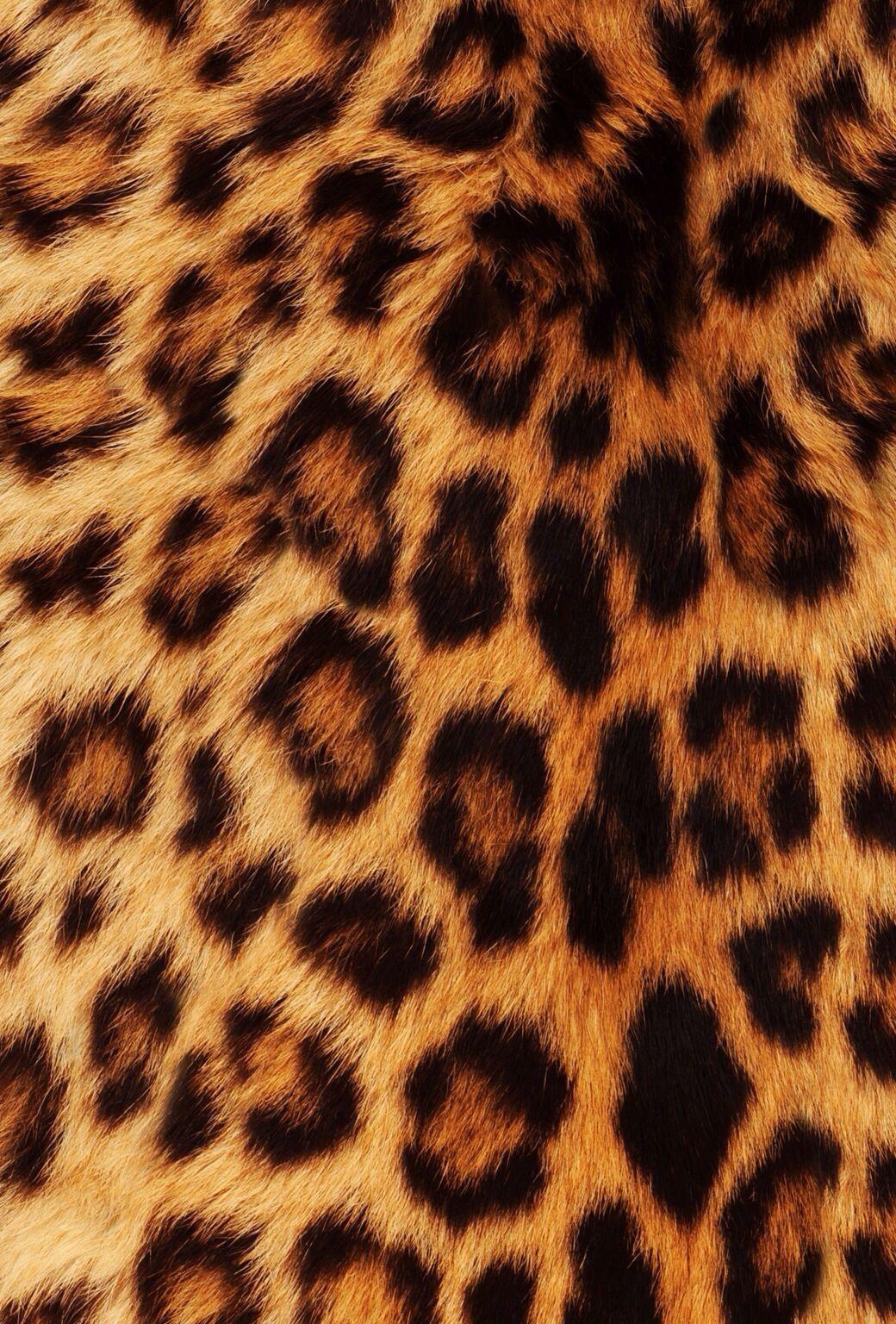 1040x1540 Wallpaper iPhone 6 plus Leopard, Phone