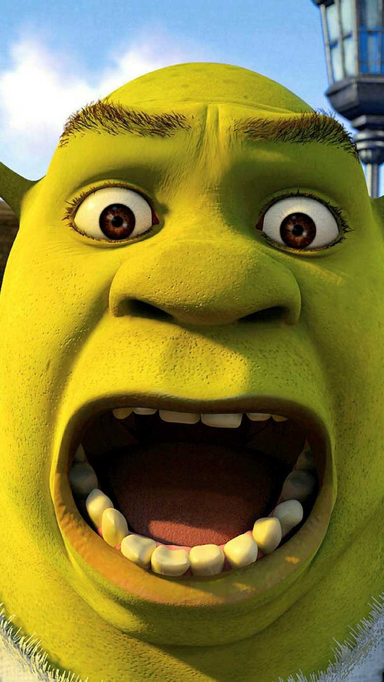 800x1410 Phone Shrek Face Wallpaper, Phone