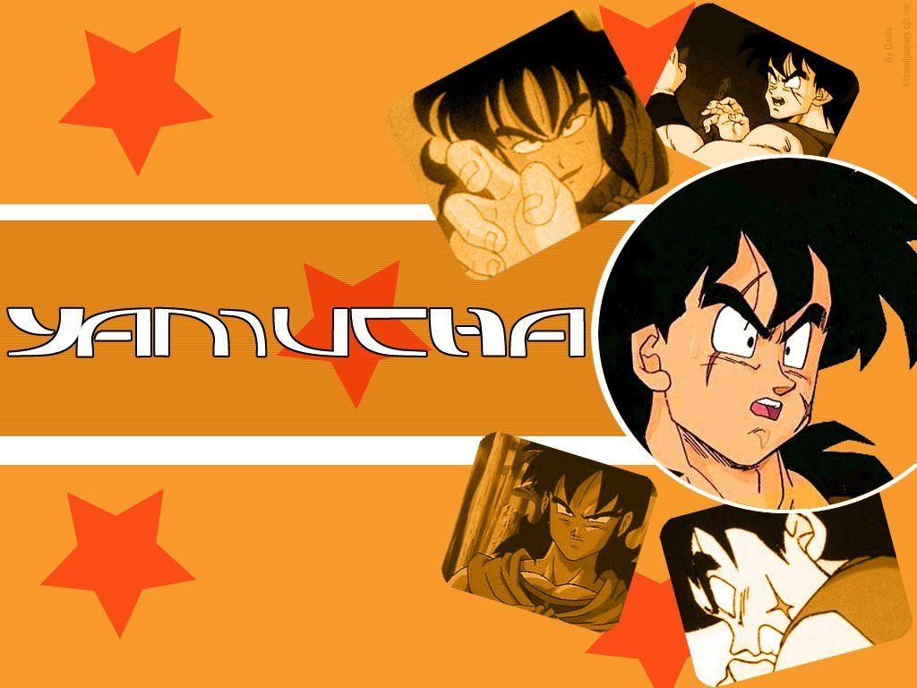 1030x770 Yamcha, Desktop