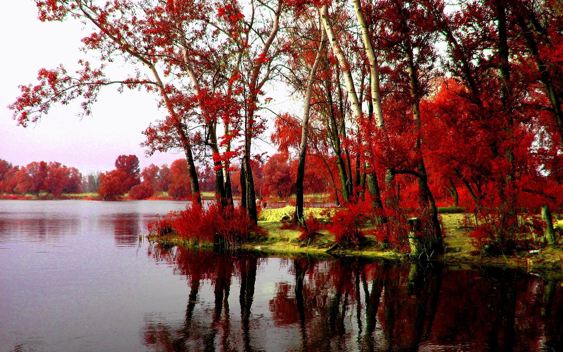 1920x1200 Rivers: RIVER BANK TREES Autumn Riverbank HD Wallpaper for HD 16:9, Desktop