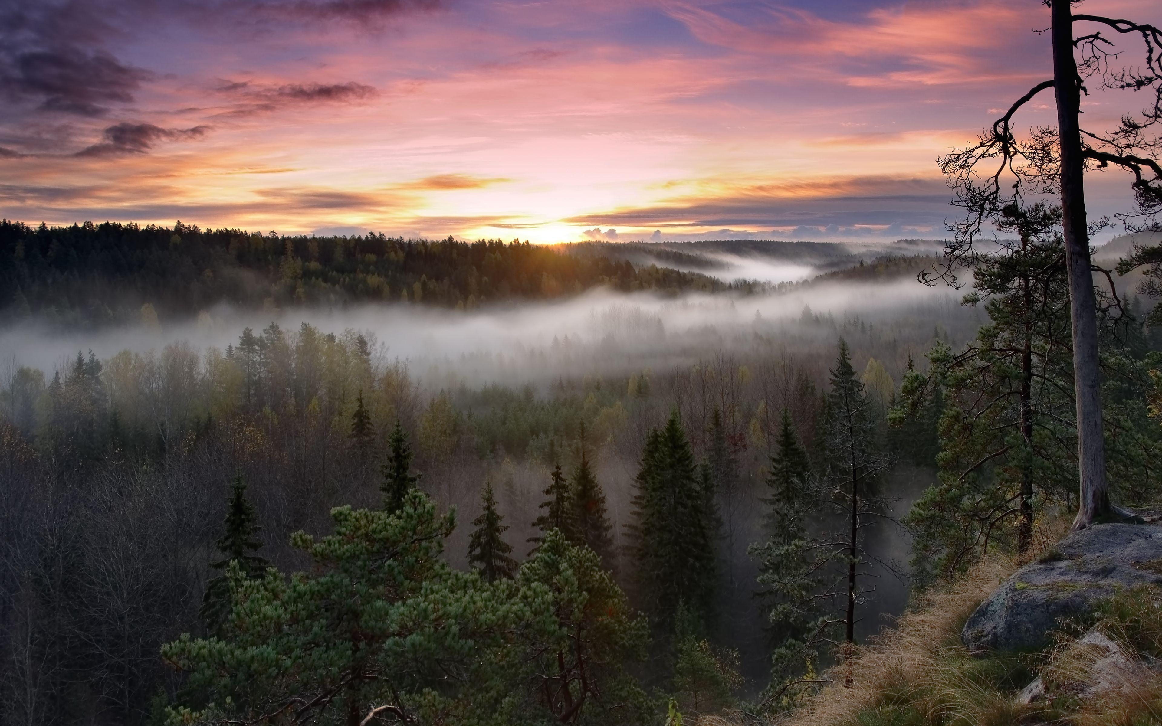 3840x2400 Nuuksio National Park, Finland wallpaper and image, Desktop