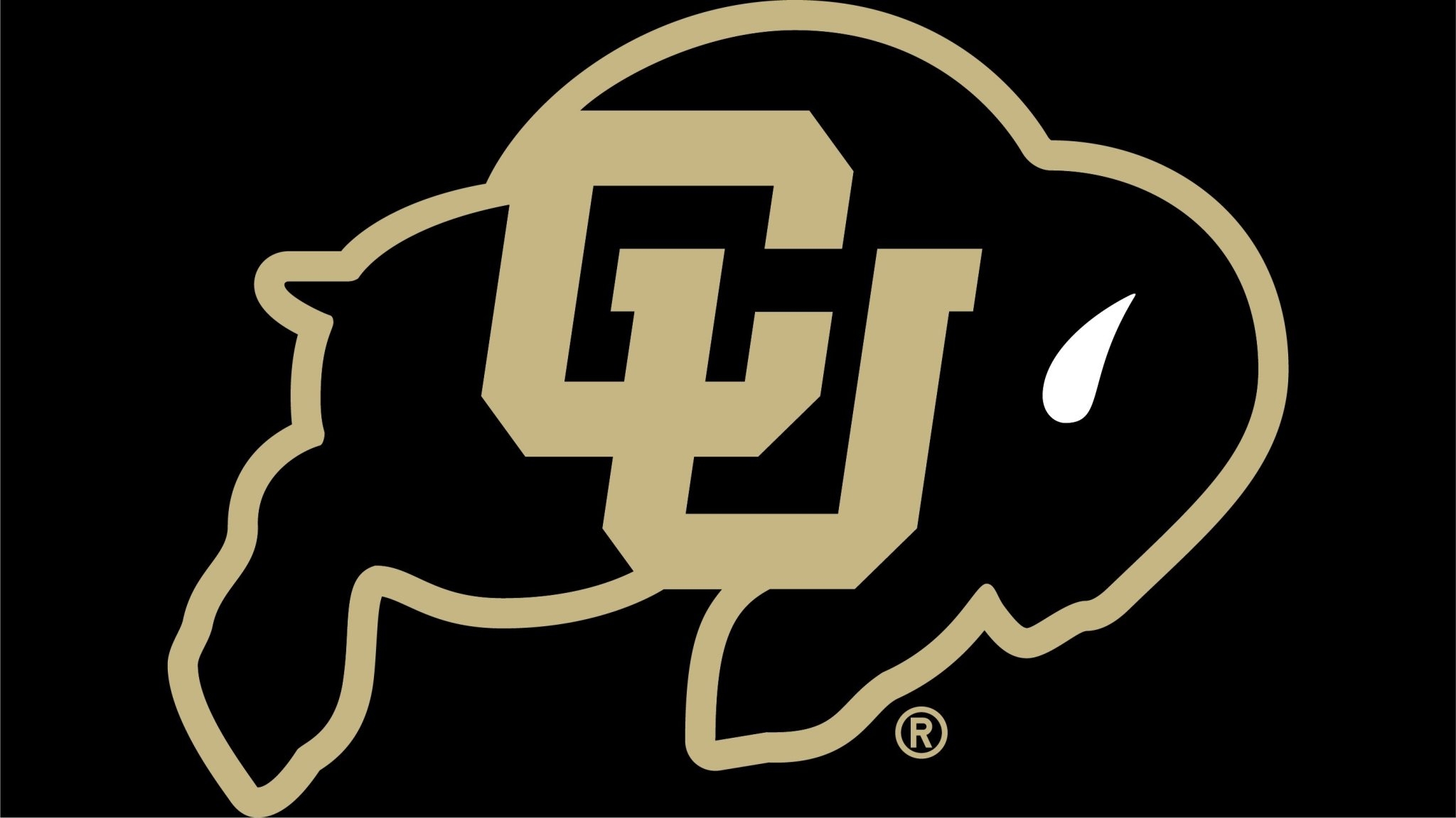 2050x1160 Colorado Buffaloes, Desktop